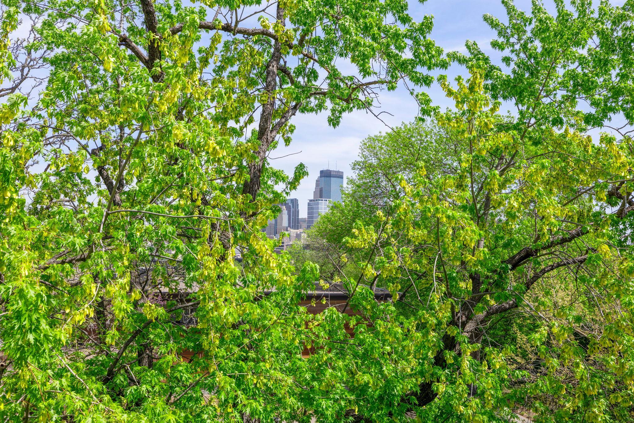 View of Residential at 1014 Mount Curve Avenue, Minneapolis MN 55403, Minneapolis (43 of 72) - Mike Wilen | Minnesota Team Real Estate