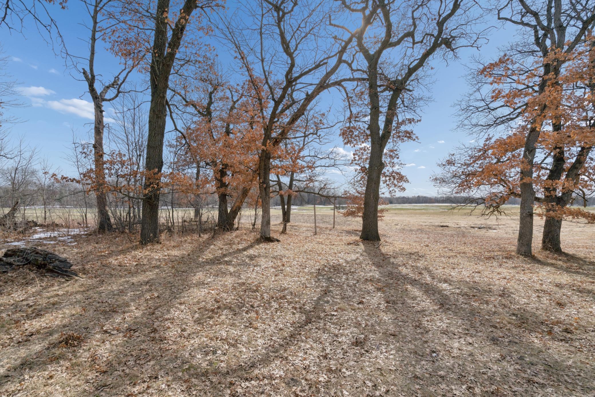 View of Land at 4068 155th Avenue, Ham Lake MN 55304, Ham Lake (6 of 10) - Mike Wilen | Minnesota Team Real Estate