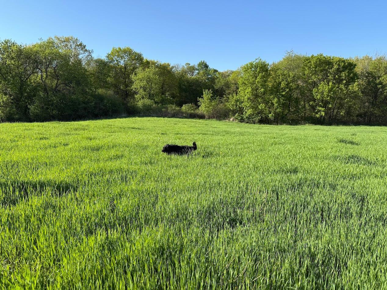 View of Land at XXXXX Oxboro Ave N, Scandia MN 55047, Scandia - Mike Wilen | Minnesota Team Real Estate