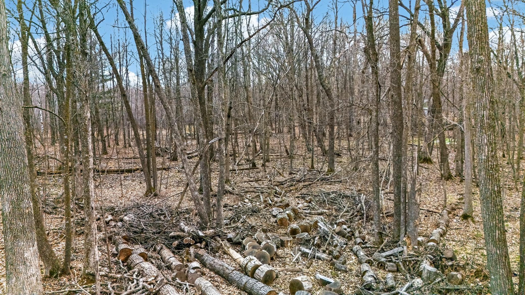 View of Land at TBD Branch Drive, Pine City MN 55063, Pine City (6 of 9) - Mike Wilen | Minnesota Team Real Estate
