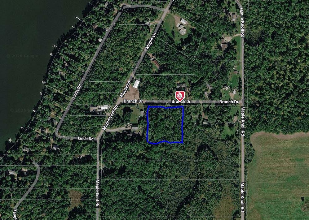 View of Land at TBD Branch Drive, Pine City MN 55063, Pine City (9 of 9) - Mike Wilen | Minnesota Team Real Estate