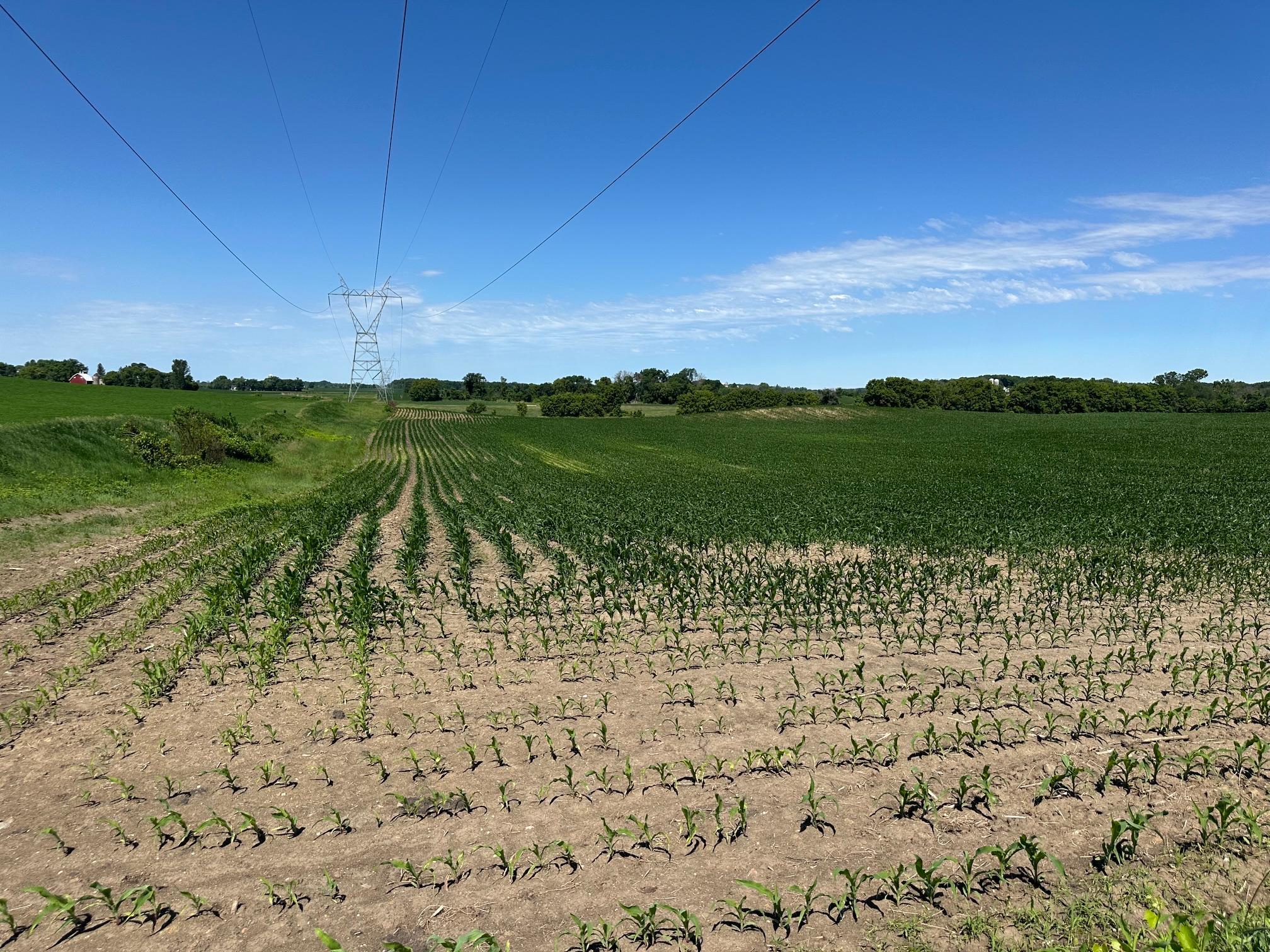 View of Land at XXX Highway 284, Cologne MN 55322, Cologne (18 of 29) - Mike Wilen | Minnesota Team Real Estate