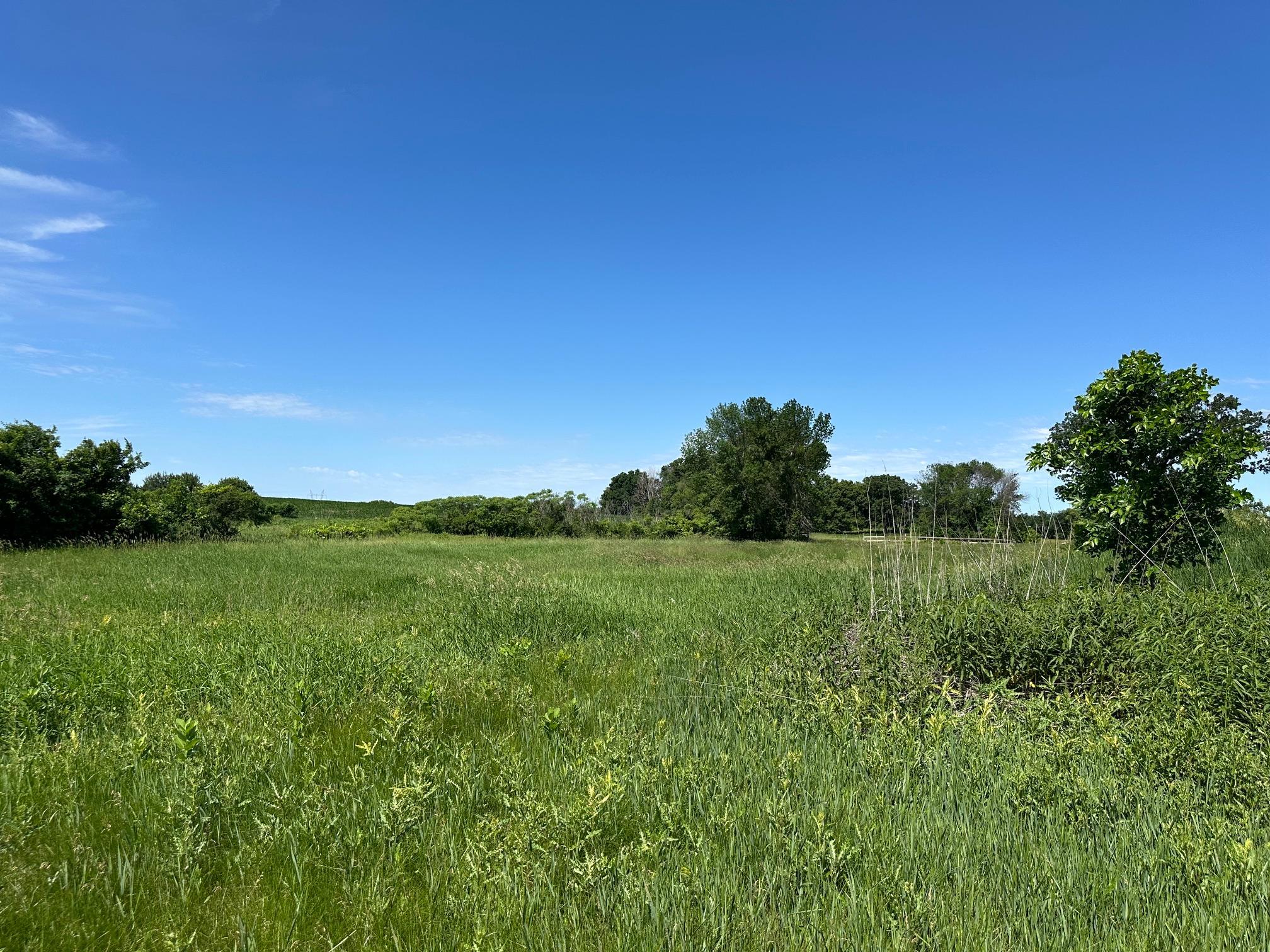 View of Land at XXX Highway 284, Cologne MN 55322, Cologne (16 of 29) - Mike Wilen | Minnesota Team Real Estate