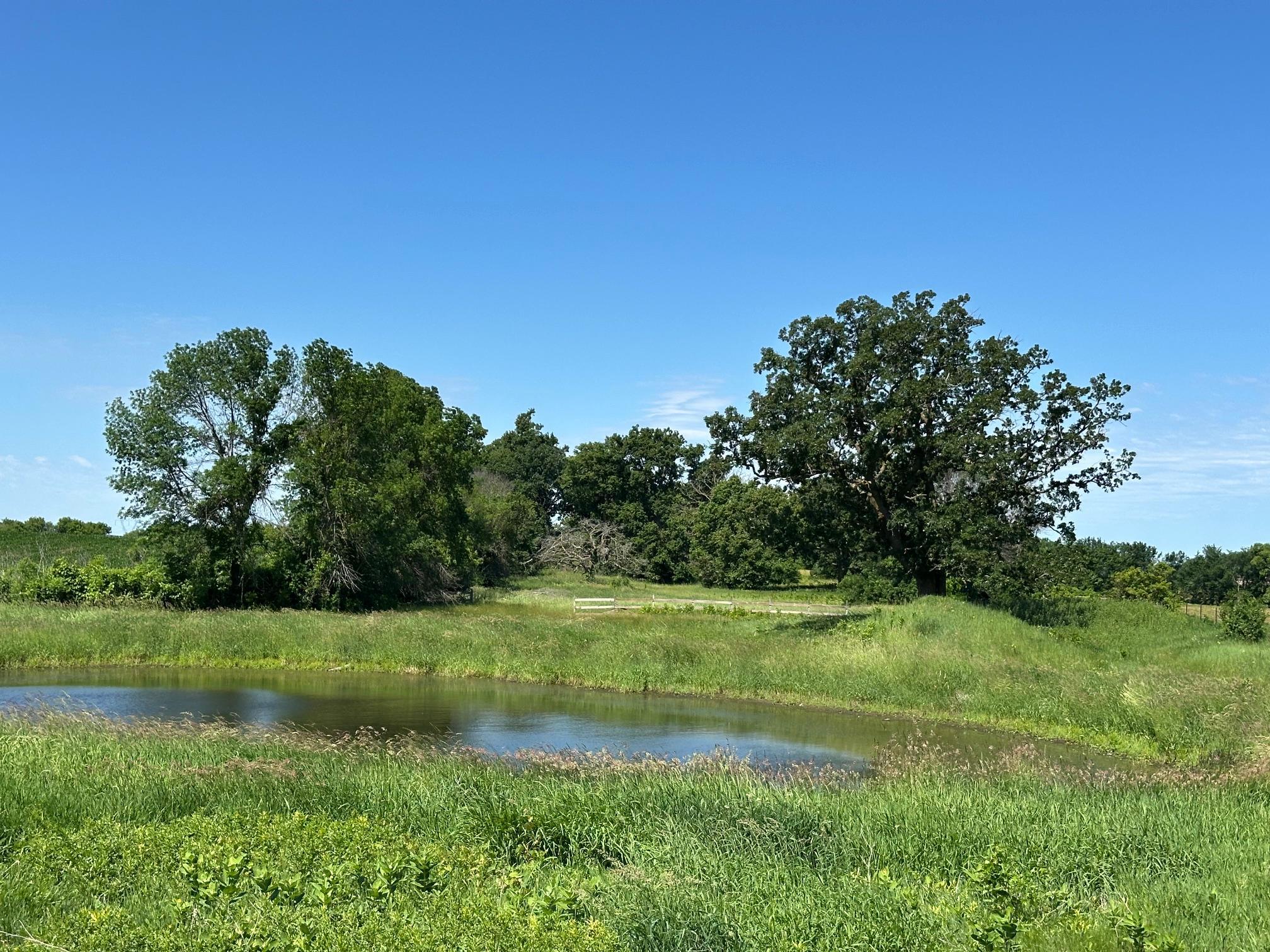 View of Land at XXX Highway 284, Cologne MN 55322, Cologne (15 of 29) - Mike Wilen | Minnesota Team Real Estate