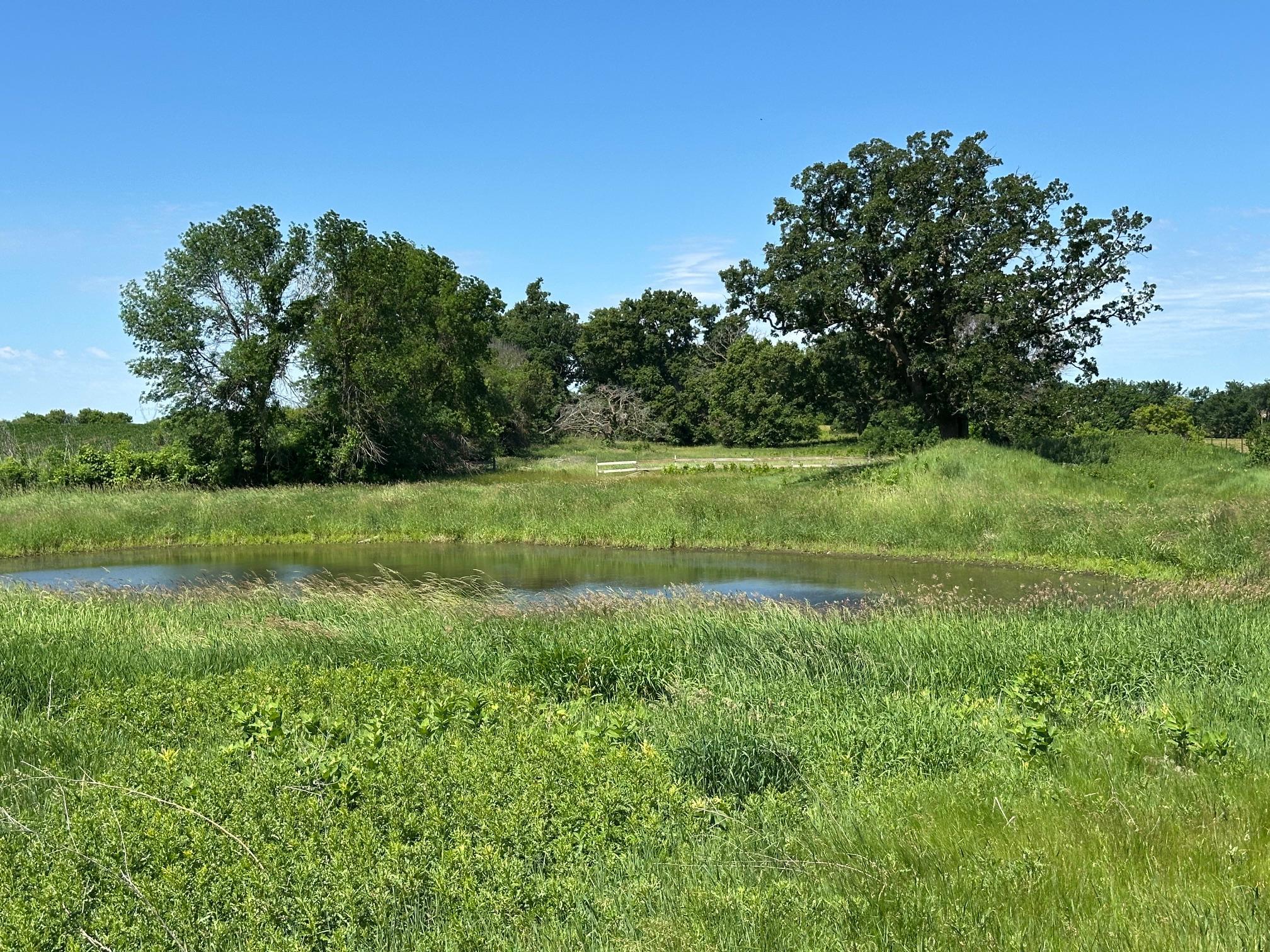 View of Land at XXX Highway 284, Cologne MN 55322, Cologne (14 of 29) - Mike Wilen | Minnesota Team Real Estate