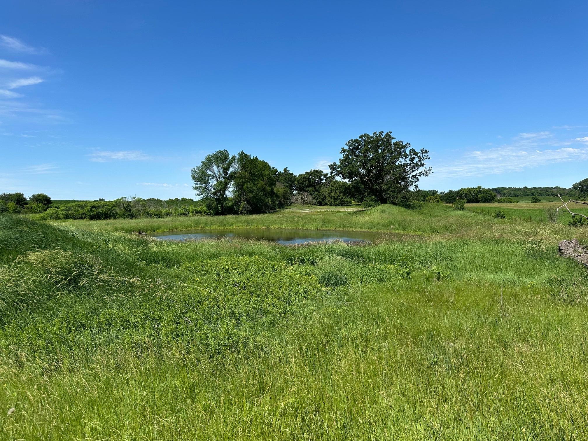 View of Land at XXX Highway 284, Cologne MN 55322, Cologne (13 of 29) - Mike Wilen | Minnesota Team Real Estate