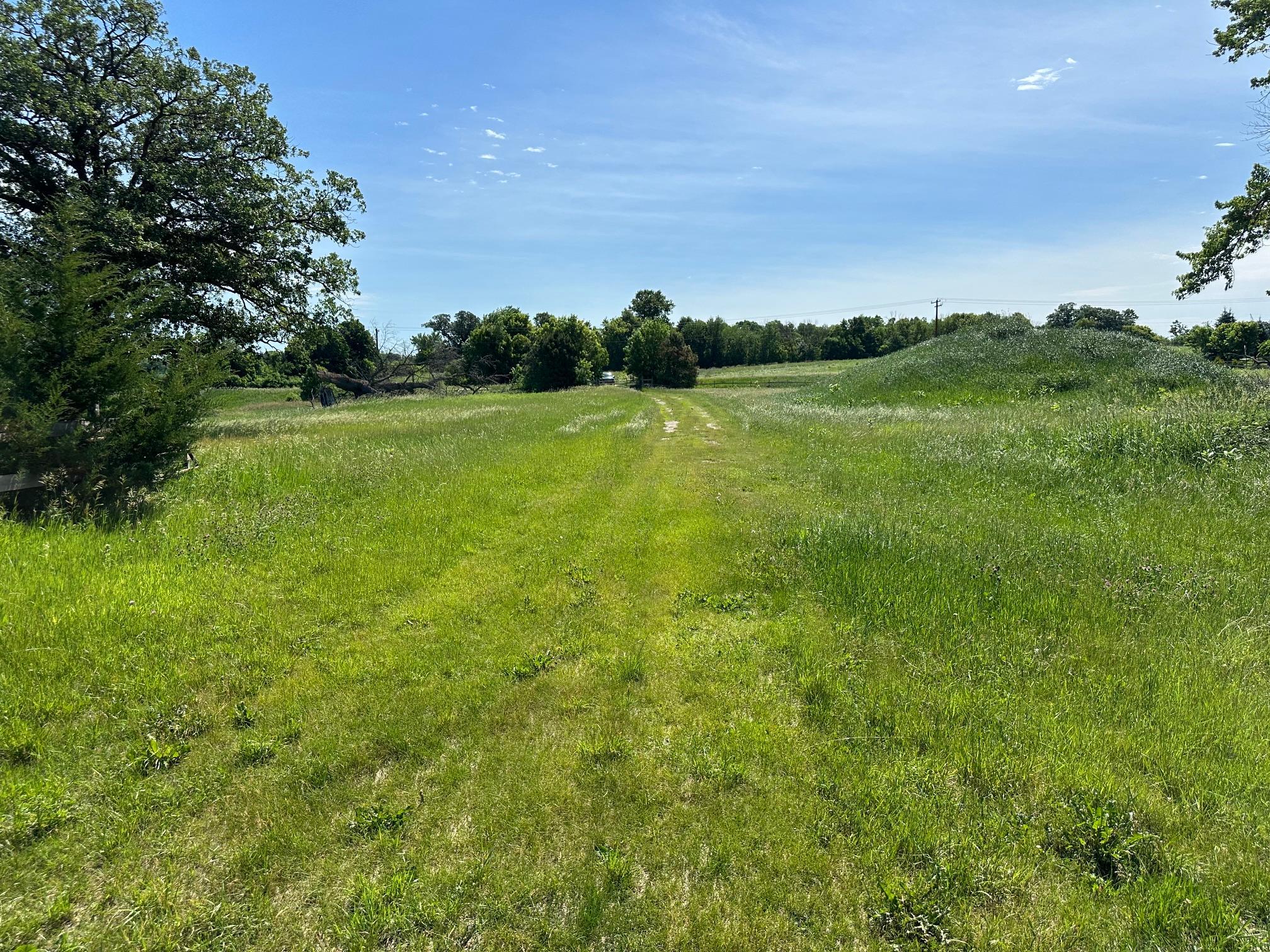 View of Land at XXX Highway 284, Cologne MN 55322, Cologne (10 of 29) - Mike Wilen | Minnesota Team Real Estate
