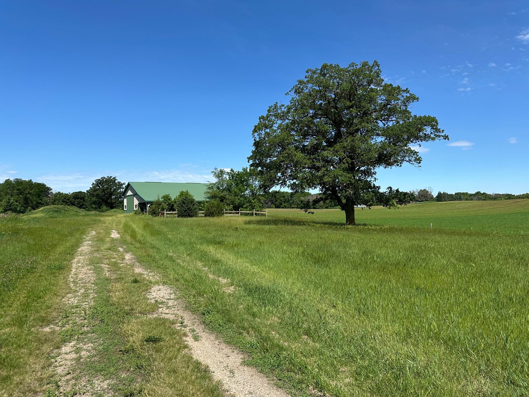 View of Land at XXX Highway 284, Cologne MN 55322, Cologne (8 of 29) - Mike Wilen | Minnesota Team Real Estate