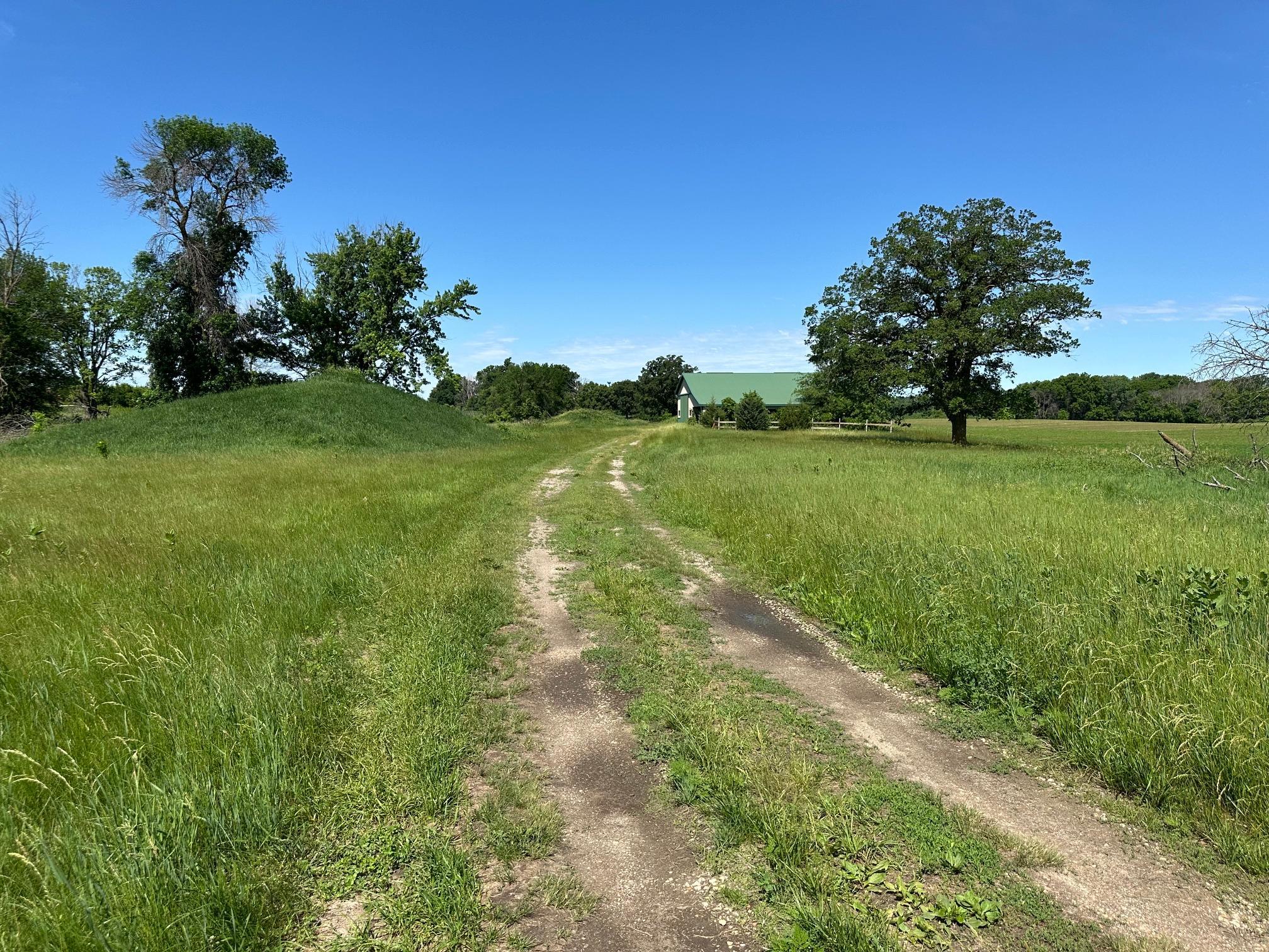 View of Land at XXX Highway 284, Cologne MN 55322, Cologne (6 of 29) - Mike Wilen | Minnesota Team Real Estate