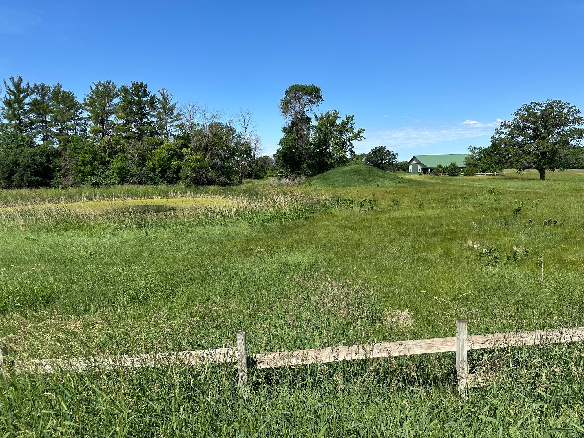 View of Land at XXX Highway 284, Cologne MN 55322, Cologne (5 of 29) - Mike Wilen | Minnesota Team Real Estate
