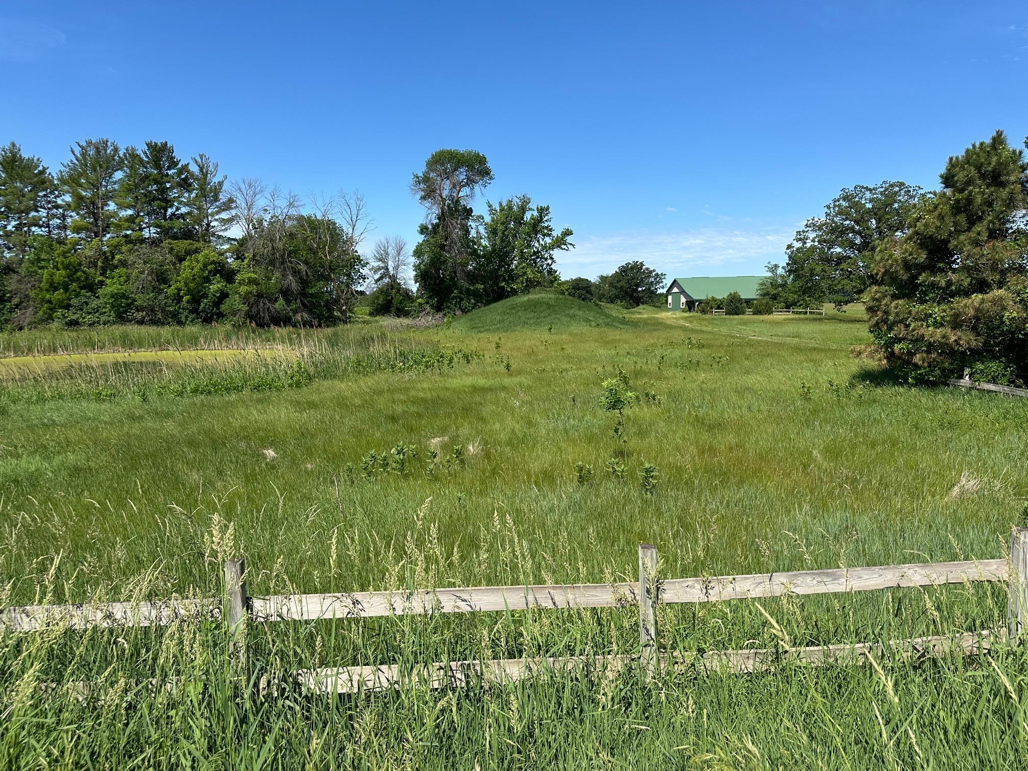 View of Land at XXX Highway 284, Cologne MN 55322, Cologne (4 of 29) - Mike Wilen | Minnesota Team Real Estate