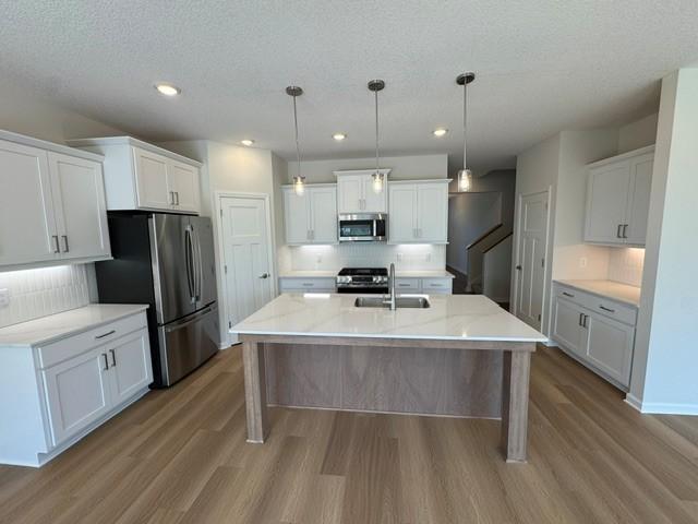 View of Residential at 6199 157th Street, Hugo MN 55038, Hugo (5 of 43) - Mike Wilen | Minnesota Team Real Estate