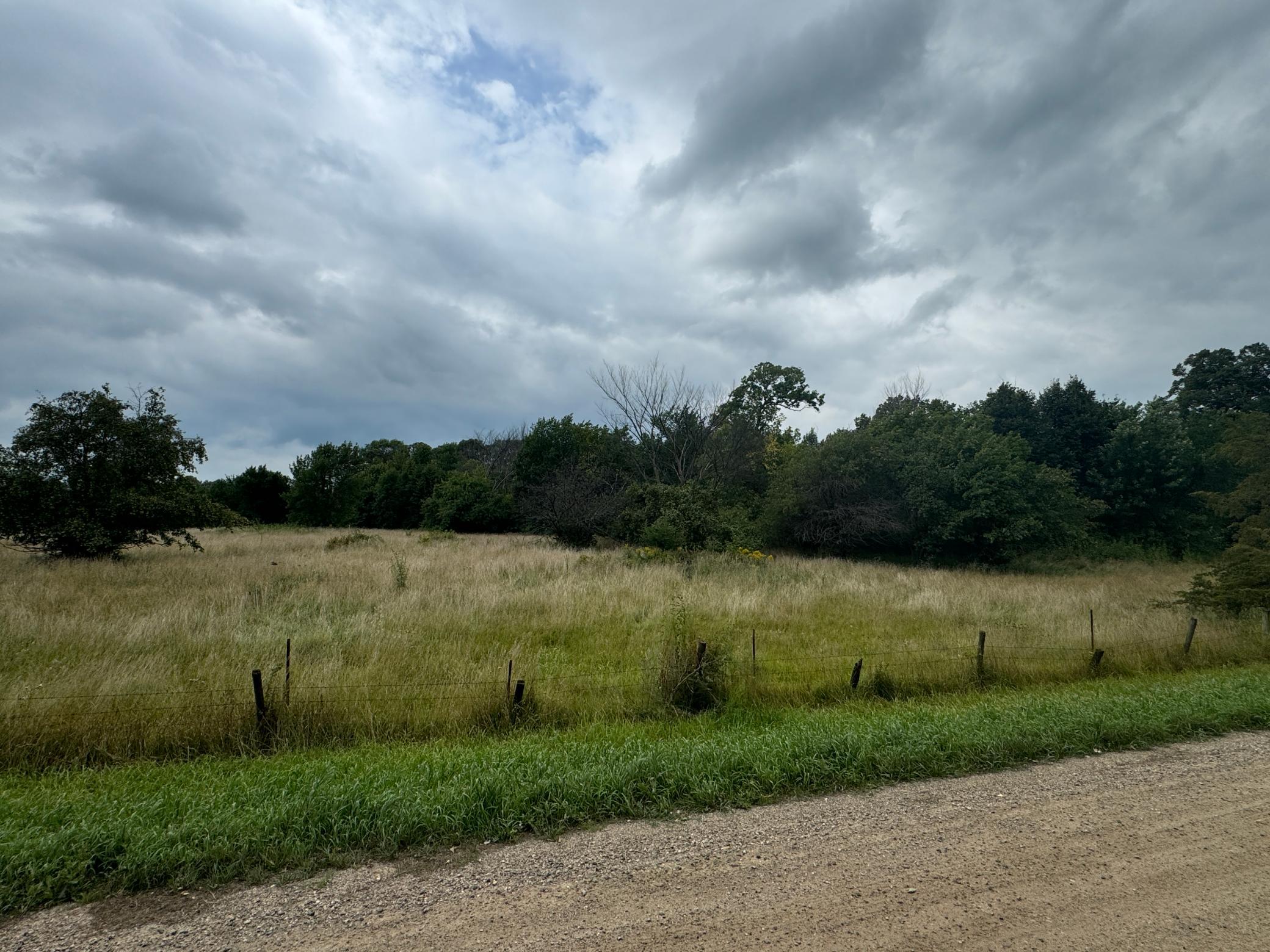 View of Land at x23 Weller Avenue, Norwood Young America MN 55368, Norwood Young America (4 of 6) - Mike Wilen | Minnesota Team Real Estate