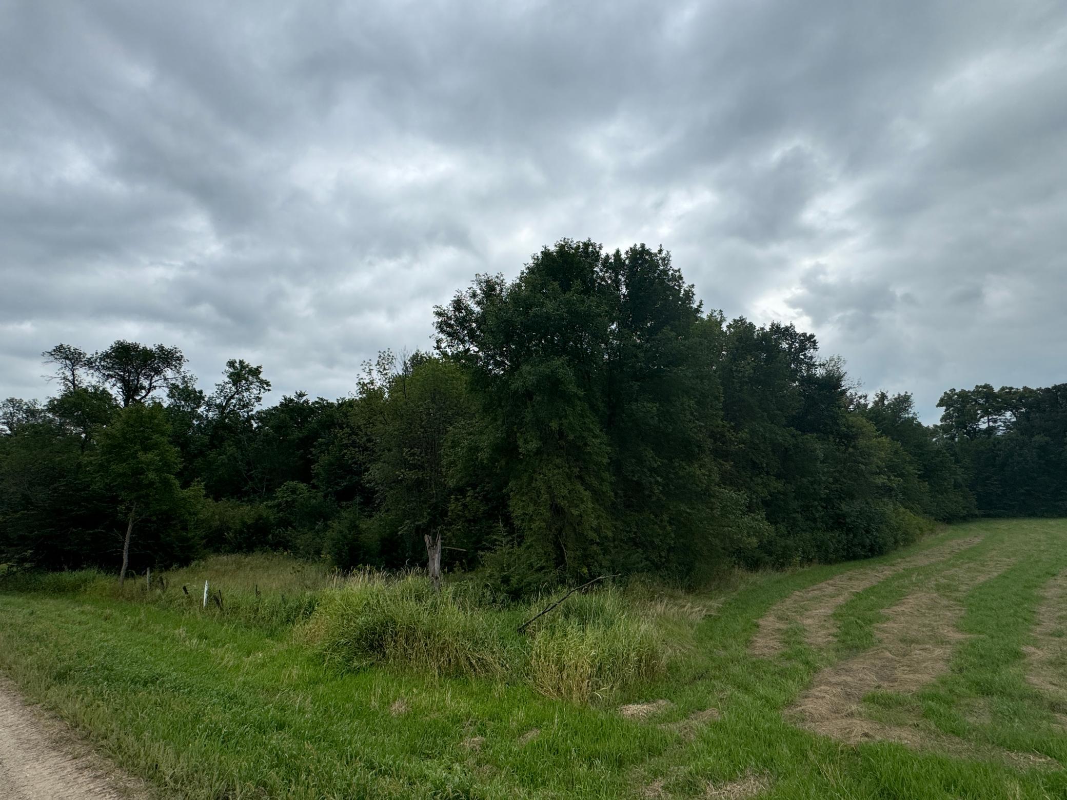View of Land at x23 Weller Avenue, Norwood Young America MN 55368, Norwood Young America (6 of 6) - Mike Wilen | Minnesota Team Real Estate