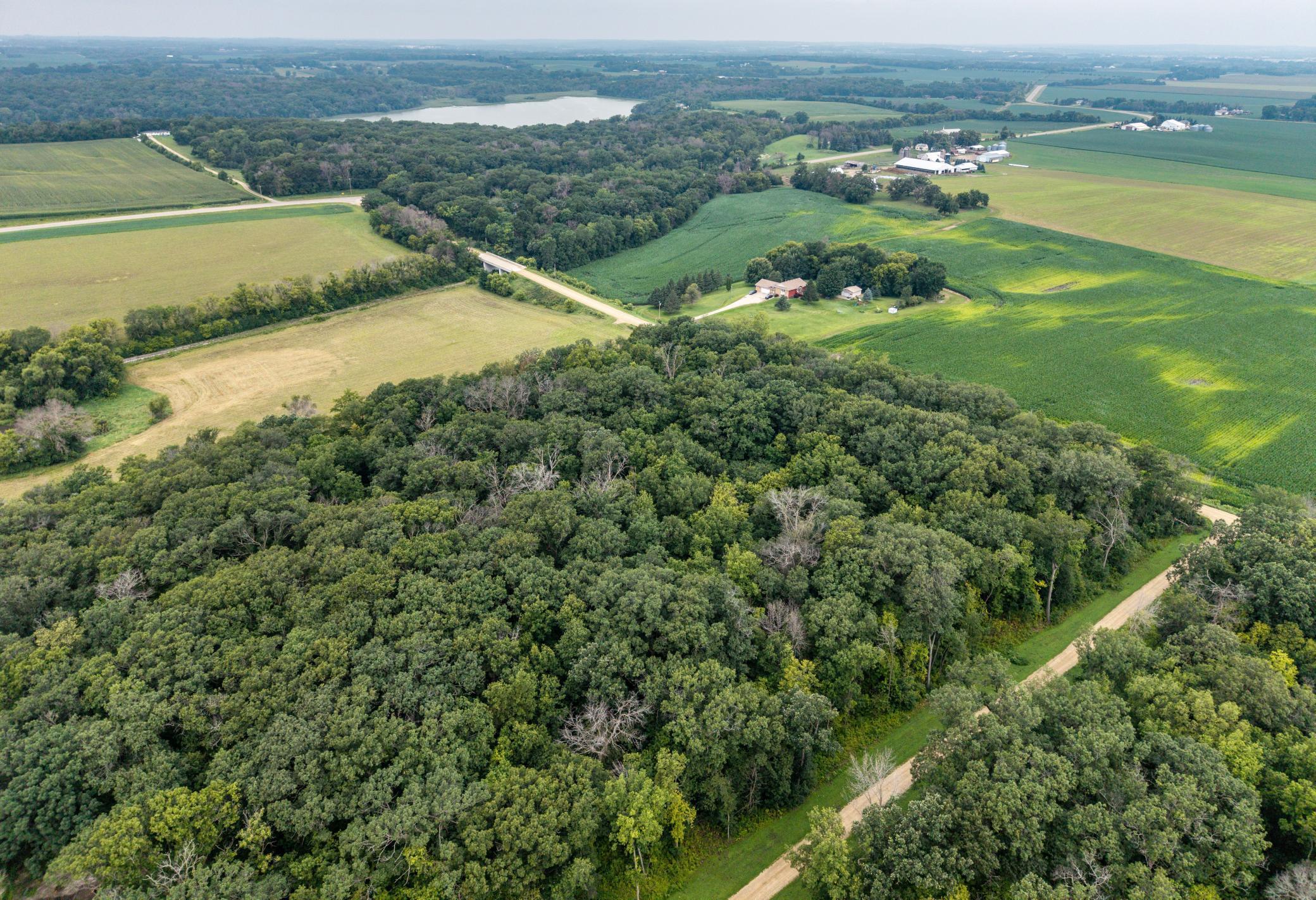 View of Land at TBD 265th Street, Eureka Twp MN 55024, Eureka Twp - Mike Wilen | Minnesota Team Real Estate