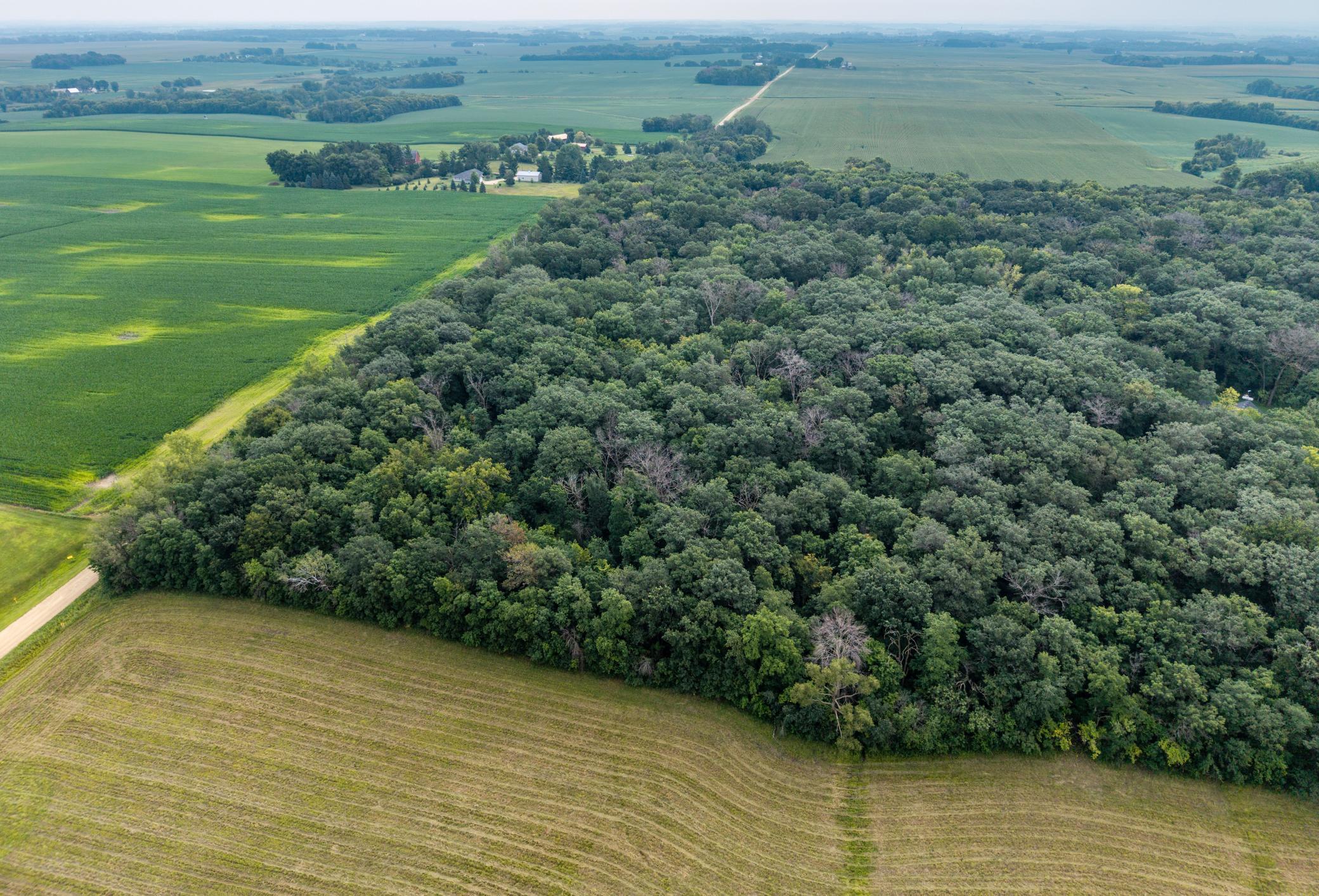 View of Land at TBD 265th Street, Eureka Twp MN 55024, Eureka Twp (2 of 11) - Mike Wilen | Minnesota Team Real Estate