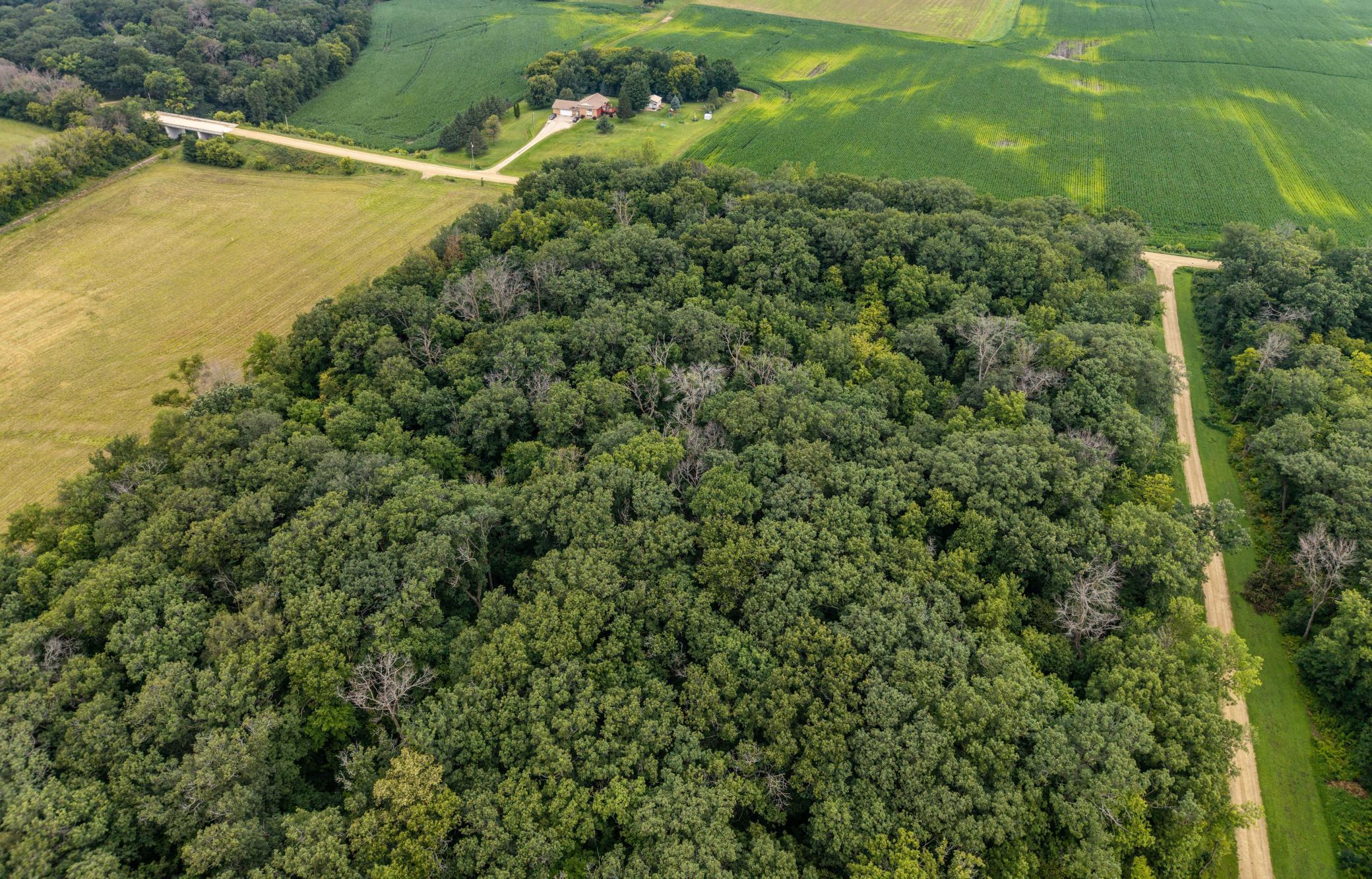 View of Land at TBD 265th Street, Eureka Twp MN 55024, Eureka Twp (3 of 11) - Mike Wilen | Minnesota Team Real Estate