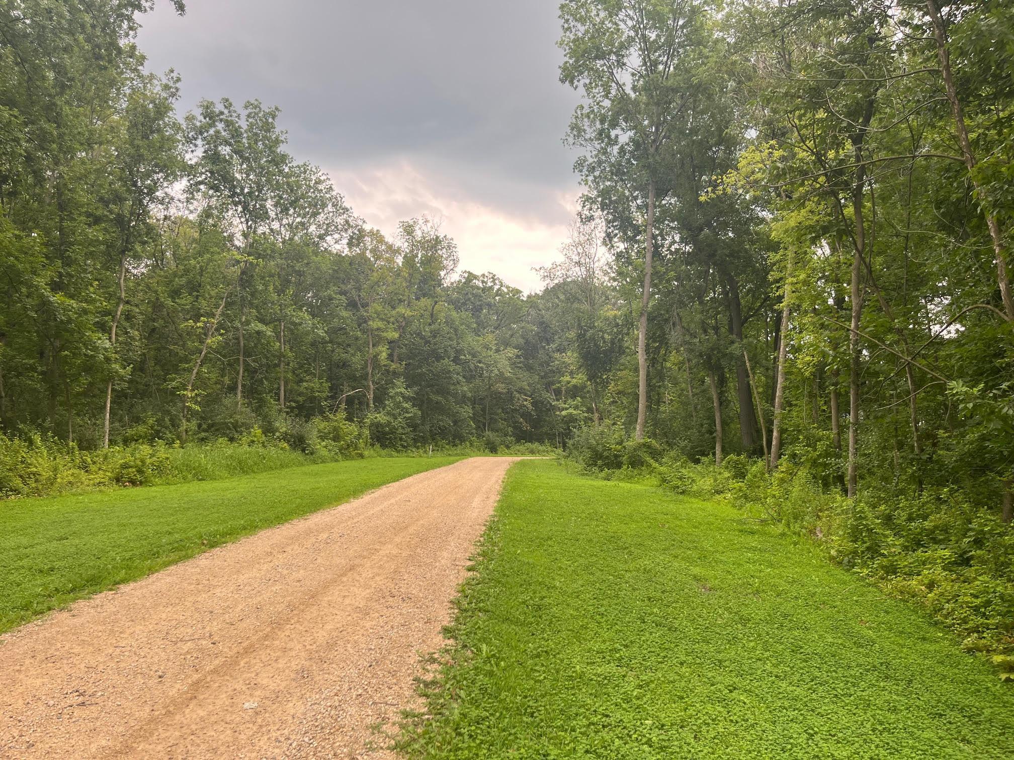 View of Land at TBD 265th Street, Eureka Twp MN 55024, Eureka Twp (8 of 11) - Mike Wilen | Minnesota Team Real Estate