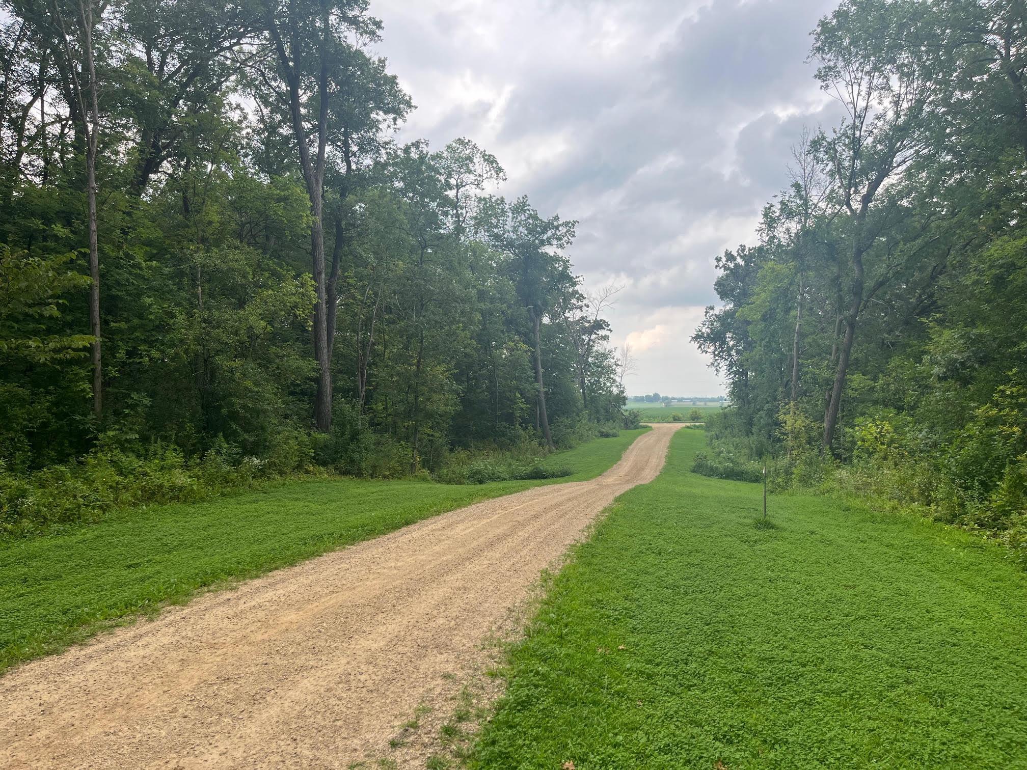 View of Land at TBD 265th Street, Eureka Twp MN 55024, Eureka Twp (9 of 11) - Mike Wilen | Minnesota Team Real Estate