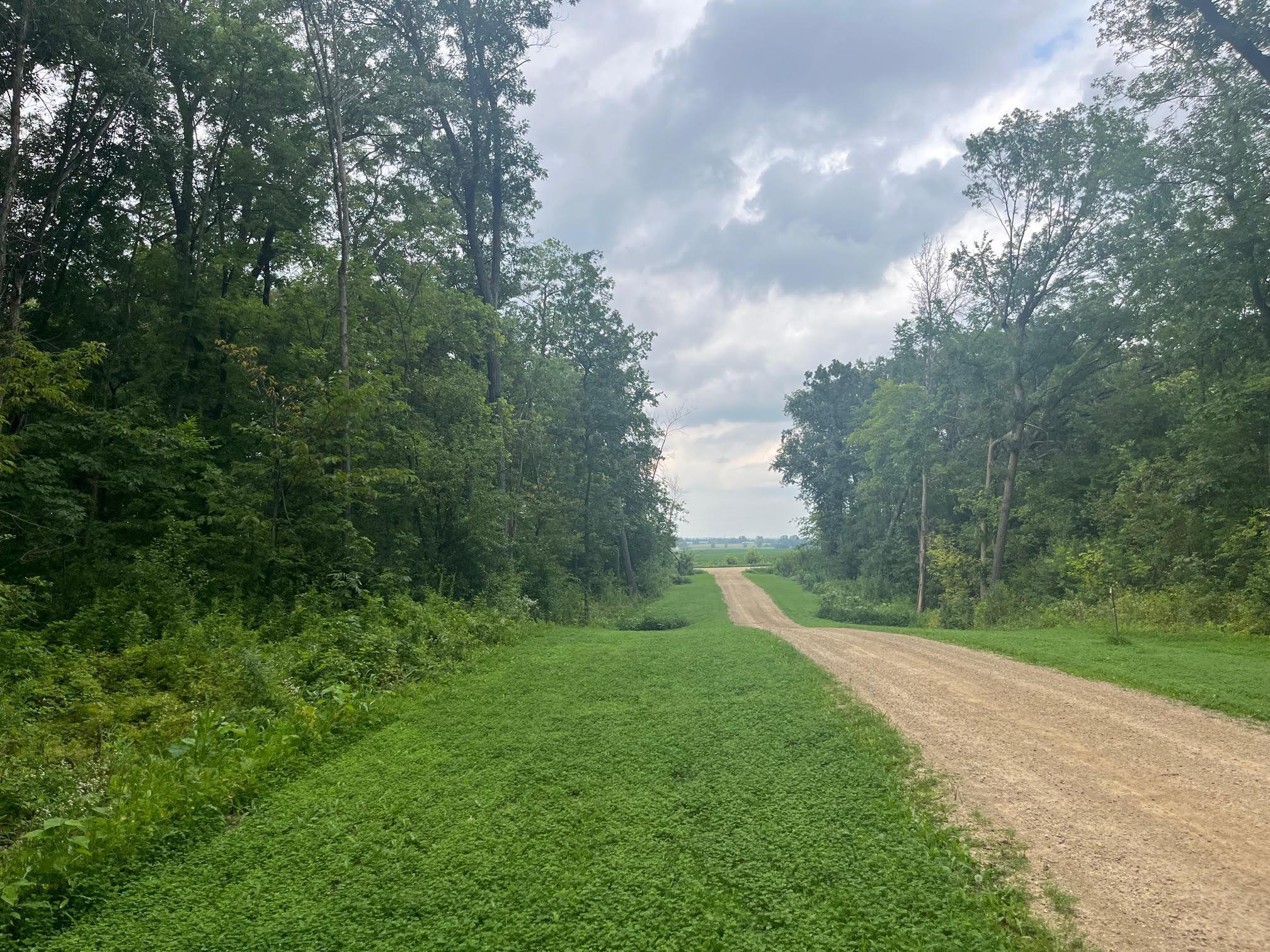 View of Land at TBD 265th Street, Eureka Twp MN 55024, Eureka Twp (10 of 11) - Mike Wilen | Minnesota Team Real Estate