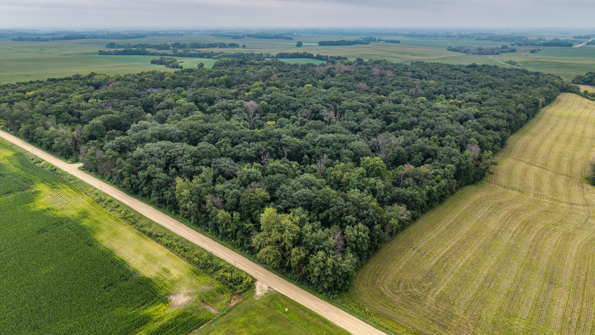 View of Land at TBD 265th Street, Eureka Twp MN 55024, Eureka Twp (11 of 11) - Mike Wilen | Minnesota Team Real Estate