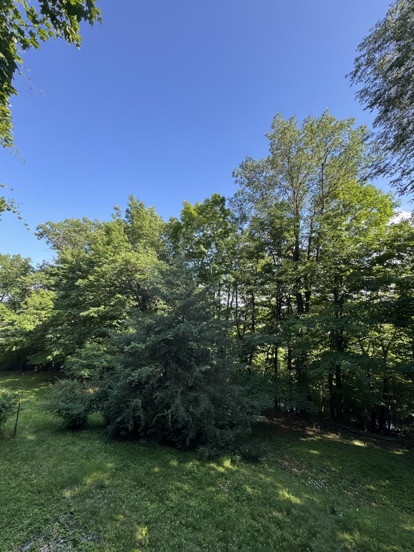 View of Land at 5123 Waterbury Road, Mound MN 55364, Mound (8 of 23) - Mike Wilen | Minnesota Team Real Estate