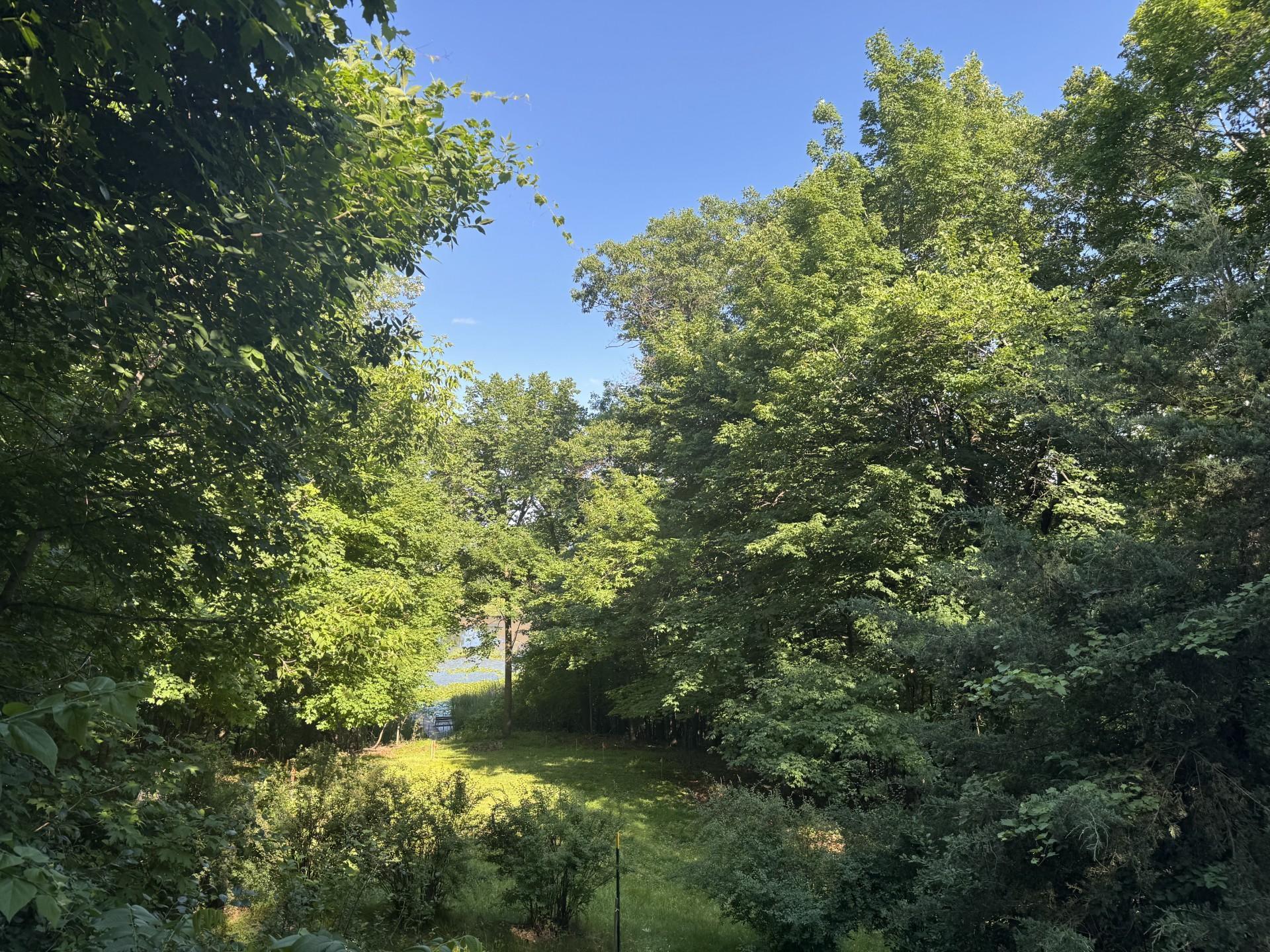 View of Land at 5123 Waterbury Road, Mound MN 55364, Mound (9 of 23) - Mike Wilen | Minnesota Team Real Estate