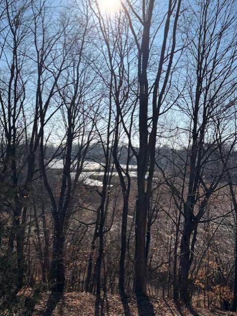 View of Land at 5123 Waterbury Road, Mound MN 55364, Mound (12 of 23) - Mike Wilen | Minnesota Team Real Estate