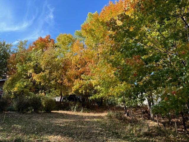View of Land at 5123 Waterbury Road, Mound MN 55364, Mound (19 of 23) - Mike Wilen | Minnesota Team Real Estate