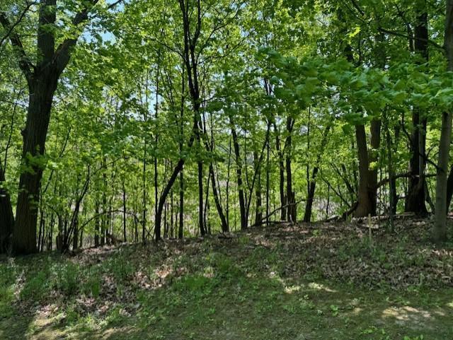 View of Land at 5123 Waterbury Road, Mound MN 55364, Mound (20 of 23) - Mike Wilen | Minnesota Team Real Estate