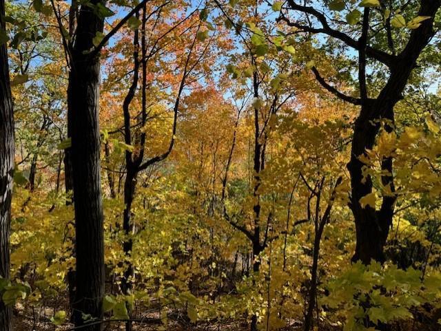 View of Land at 5123 Waterbury Road, Mound MN 55364, Mound (23 of 23) - Mike Wilen | Minnesota Team Real Estate