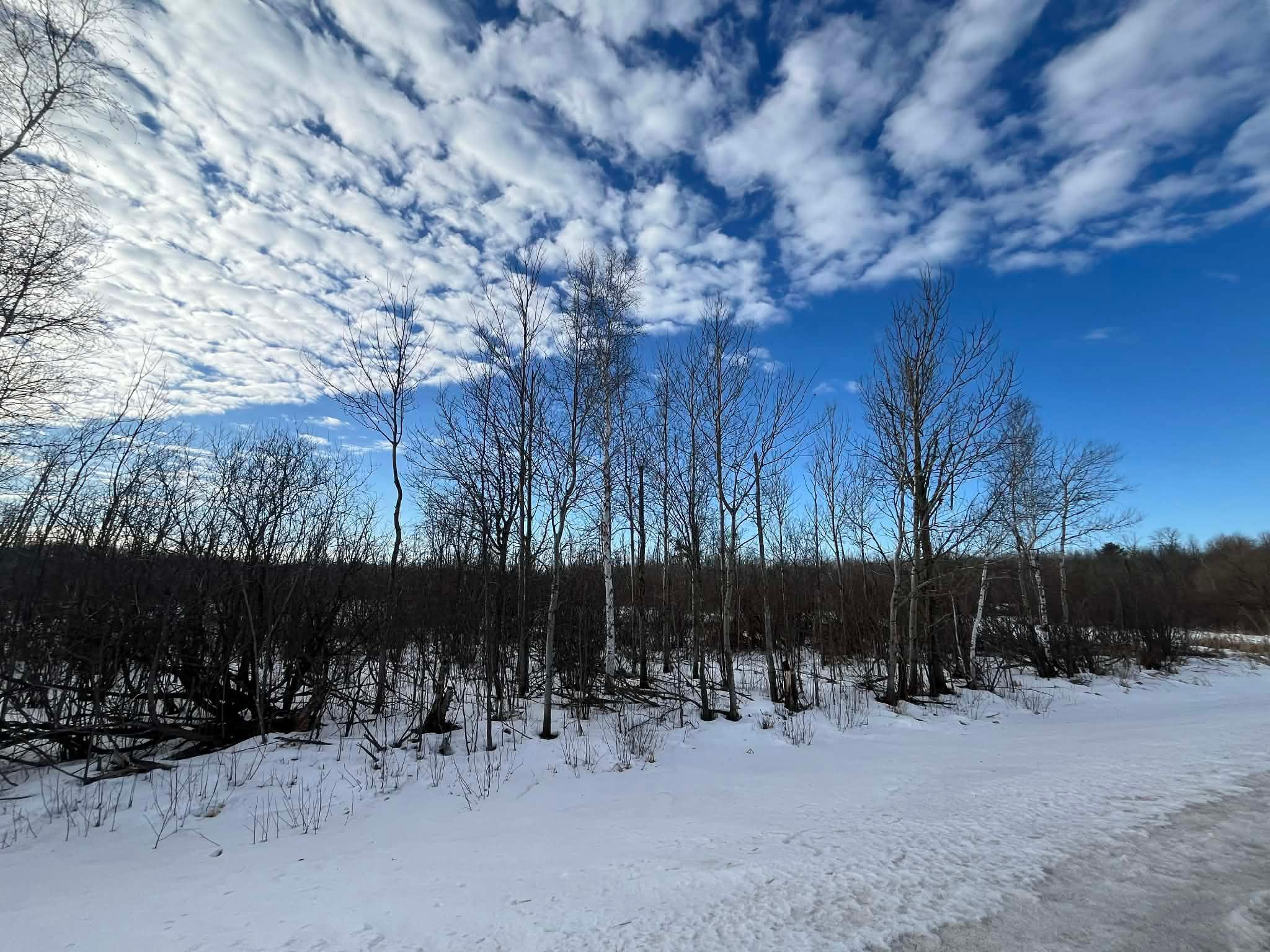 View of Land at XXX Stevens Road, Onamia MN 56359, Onamia (4 of 8) - Mike Wilen | Minnesota Team Real Estate