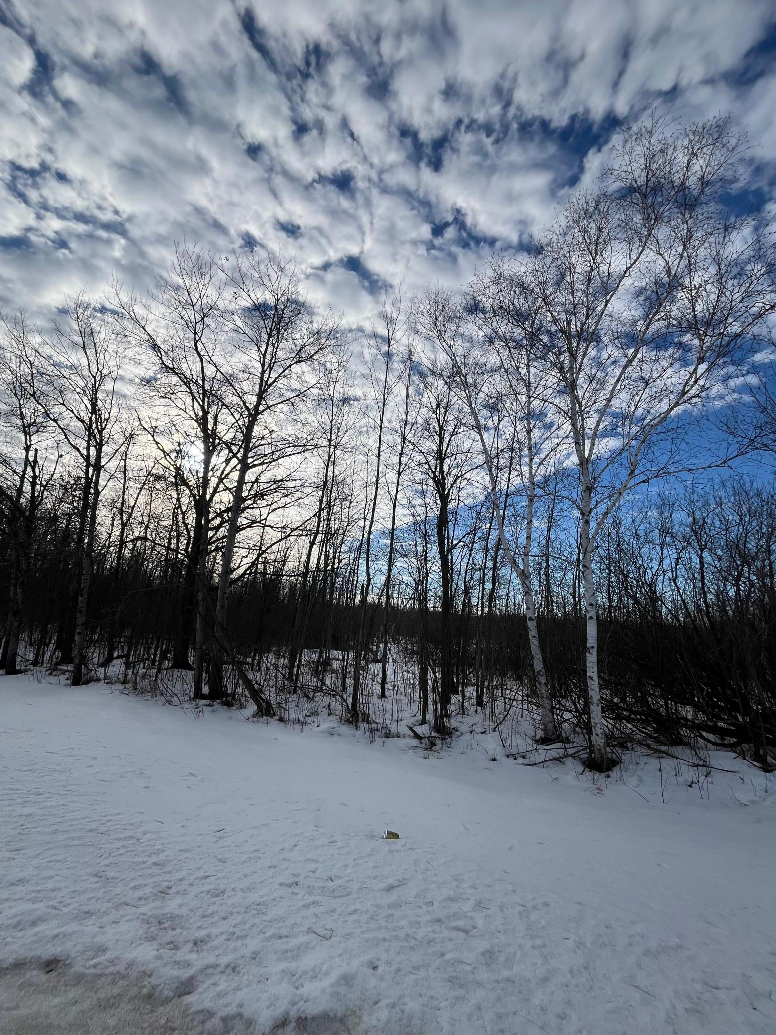 View of Land at XXX Stevens Road, Onamia MN 56359, Onamia (8 of 8) - Mike Wilen | Minnesota Team Real Estate