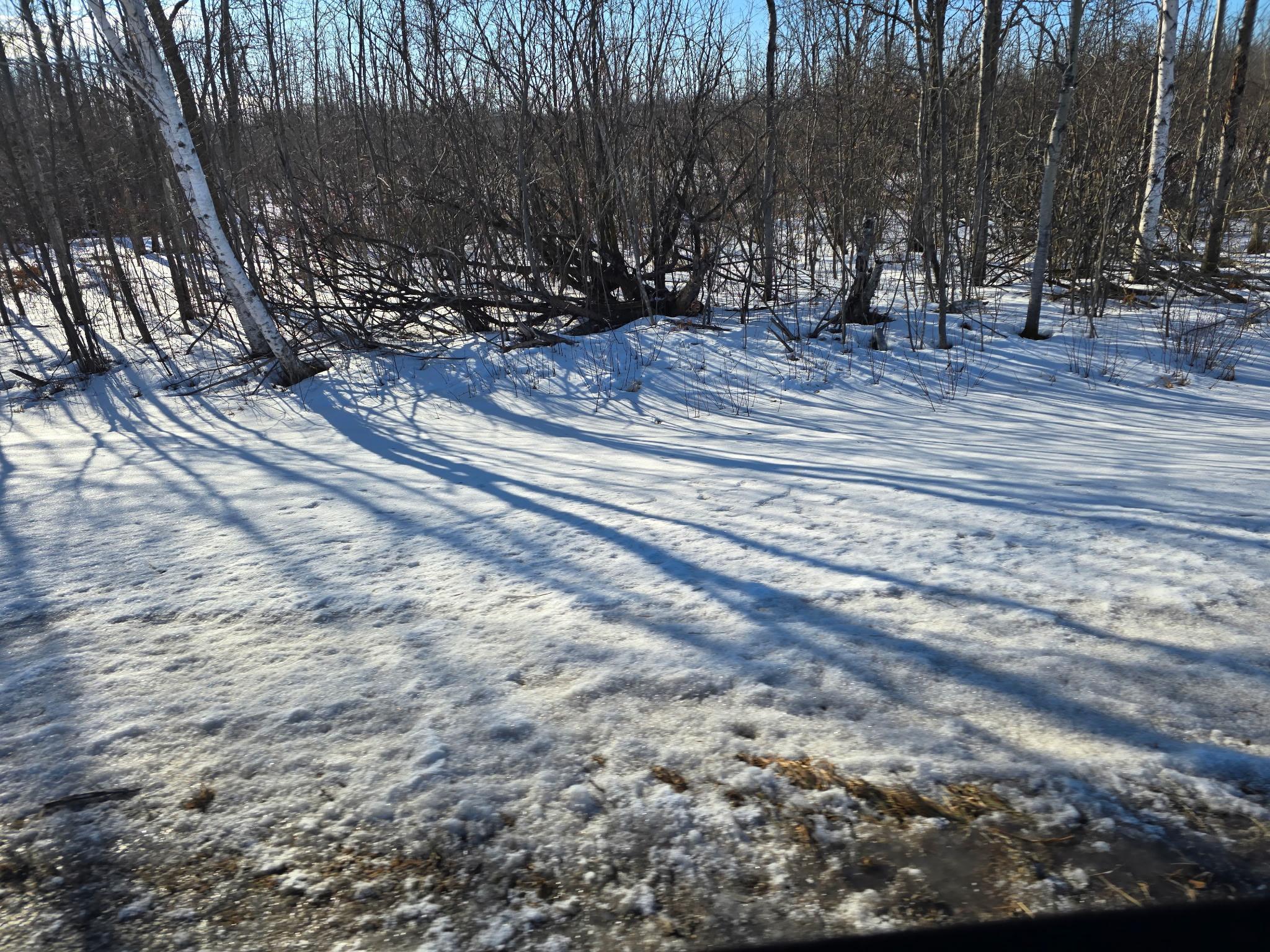 View of Land at XXX Stevens Road, Onamia MN 56359, Onamia (7 of 8) - Mike Wilen | Minnesota Team Real Estate