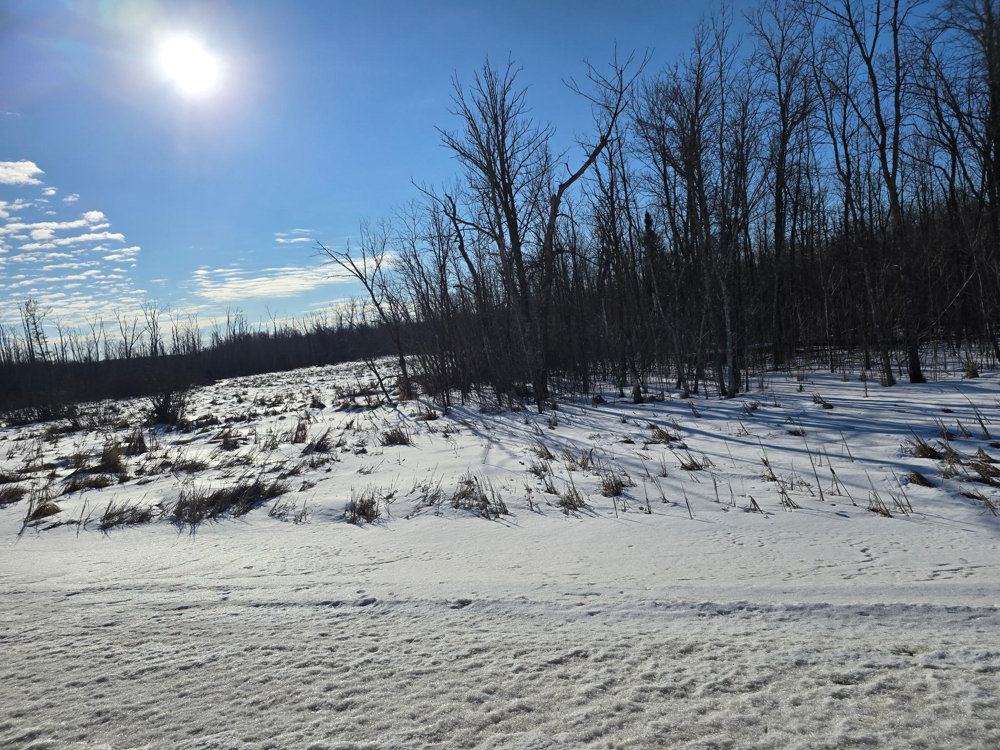 View of Land at XXX Stevens Road, Onamia MN 56359, Onamia (5 of 8) - Mike Wilen | Minnesota Team Real Estate