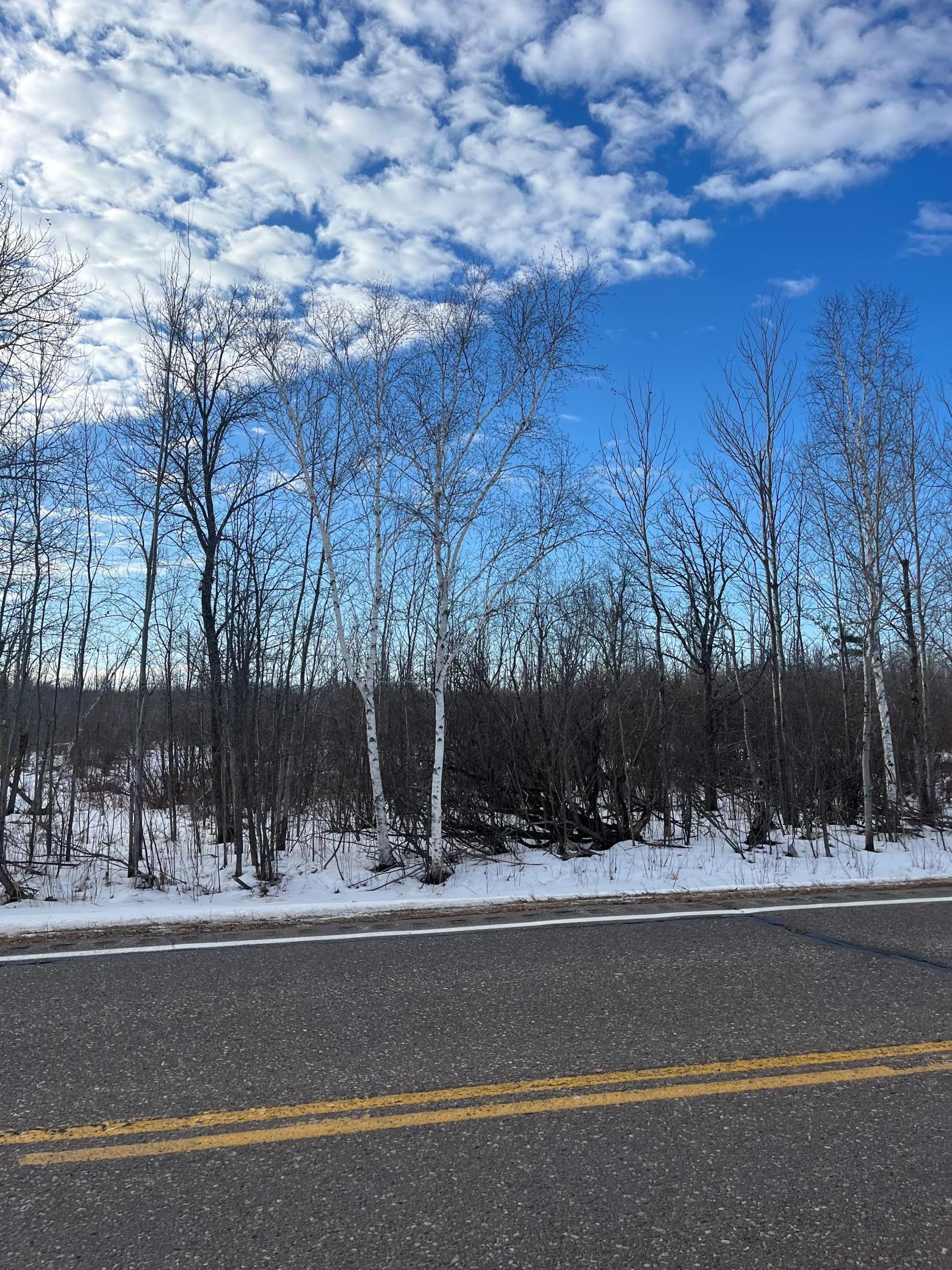 View of Land at XXX Stevens Road, Onamia MN 56359, Onamia (3 of 8) - Mike Wilen | Minnesota Team Real Estate