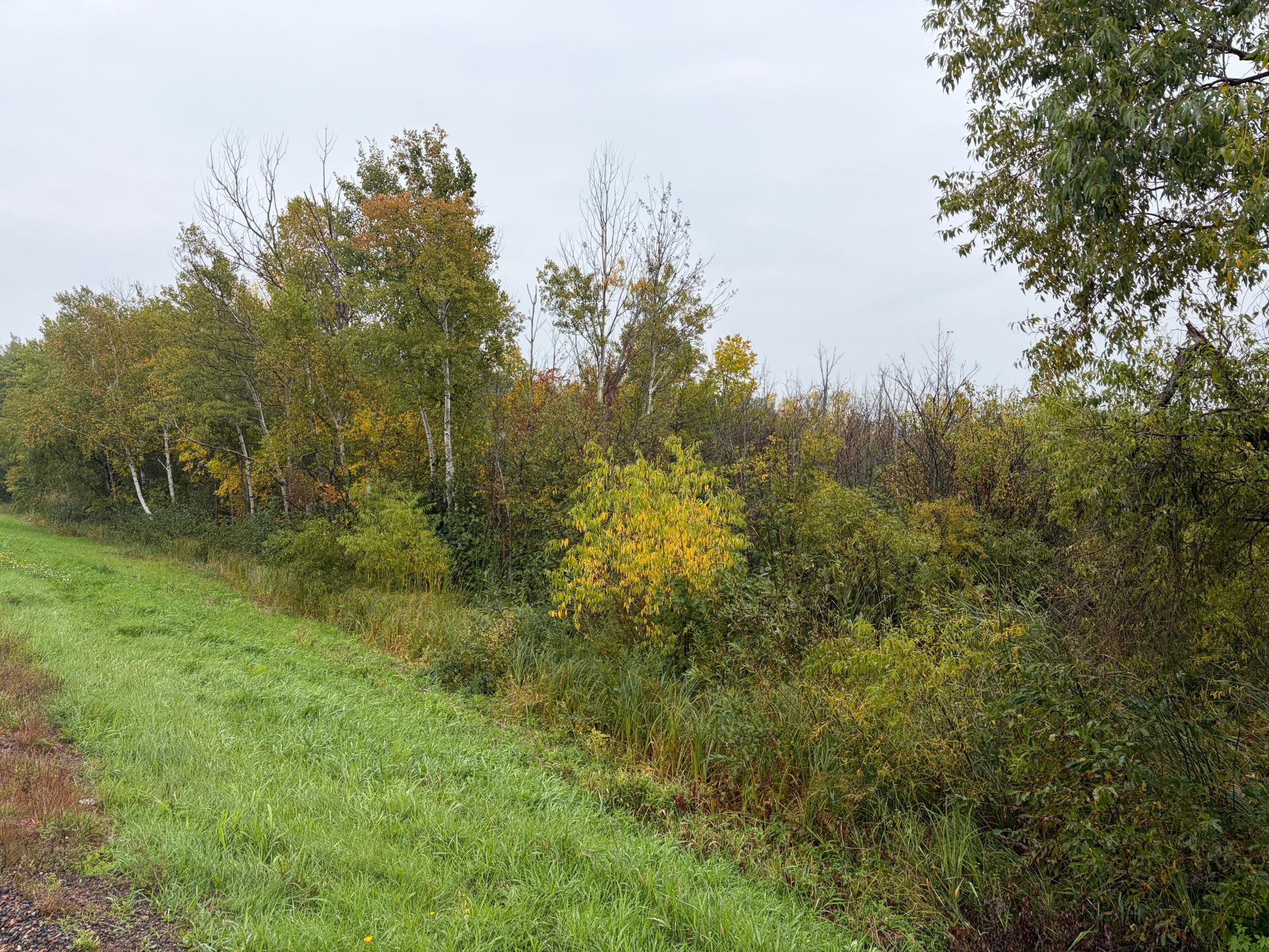 View of Residential Lot at XXX Stevens Road, Onamia - Mike Wilen | Minnesota Team Real Estate
