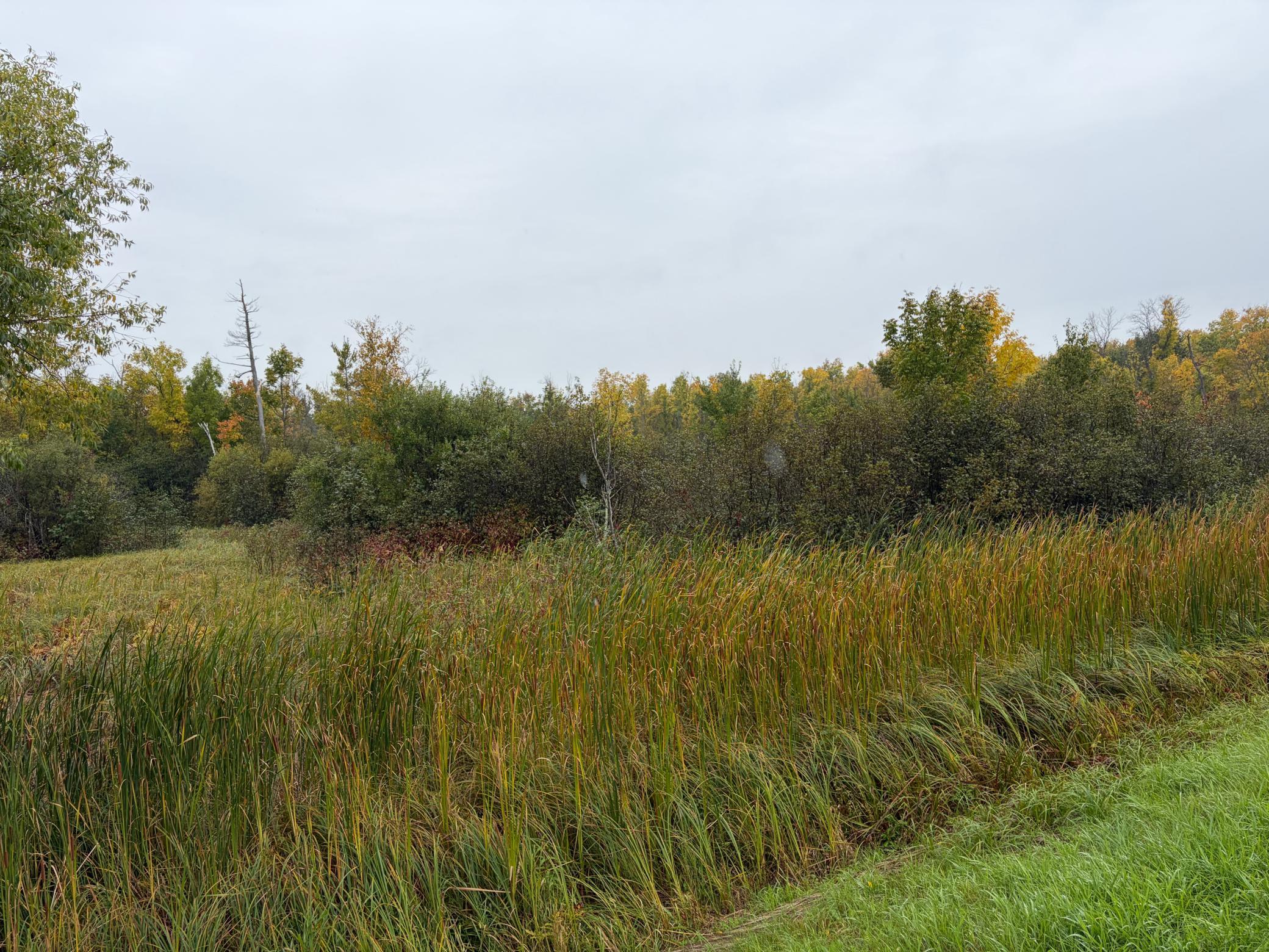 View of Land at XXX Stevens Road, Onamia MN 56359, Onamia (6 of 11) - Mike Wilen | Minnesota Team Real Estate