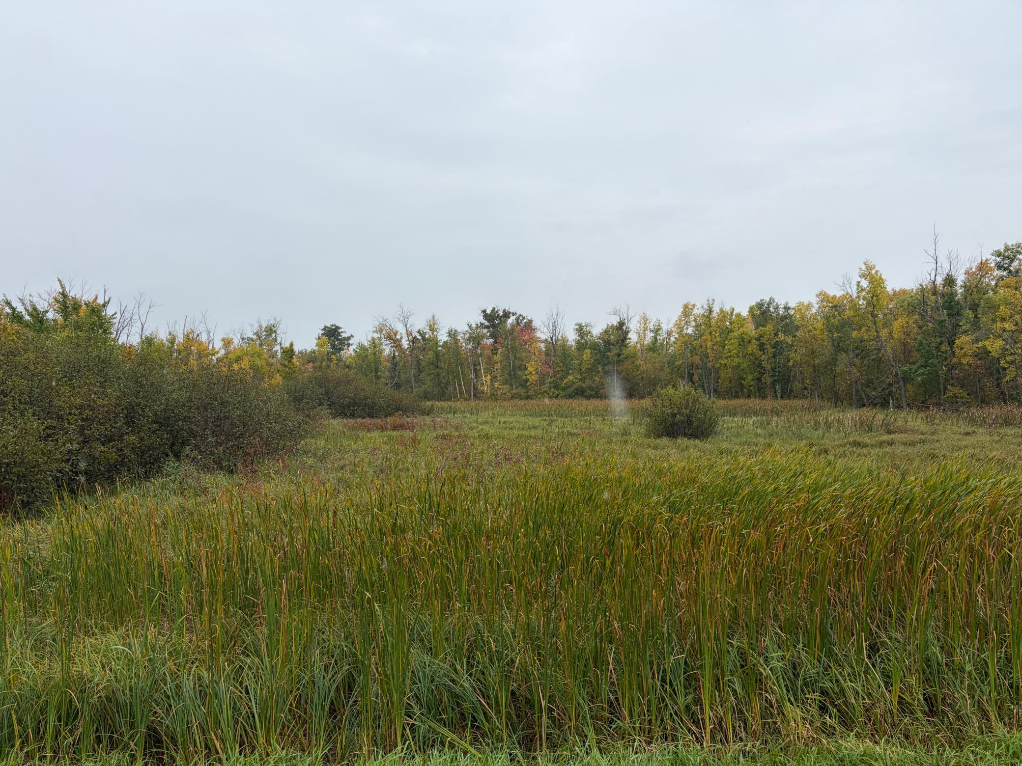 View of Land at XXX Stevens Road, Onamia MN 56359, Onamia (4 of 11) - Mike Wilen | Minnesota Team Real Estate