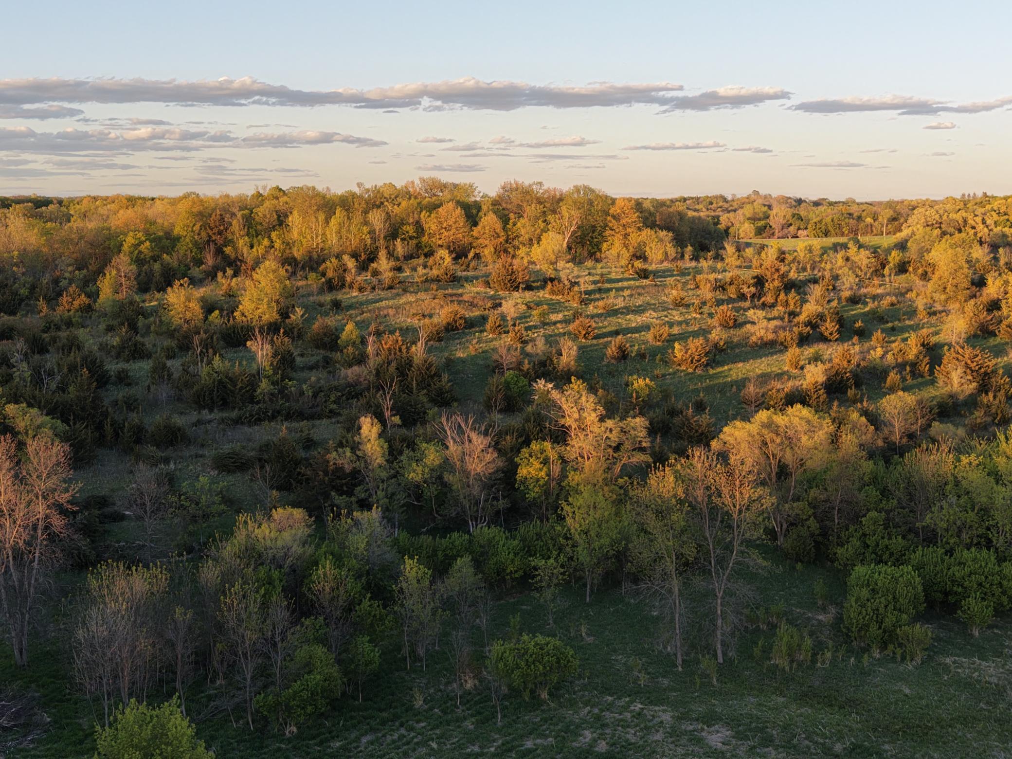 View of Land at 21423 Vergus Avenue, Prior Lake MN 55372, Prior Lake (3 of 7) - Mike Wilen | Minnesota Team Real Estate