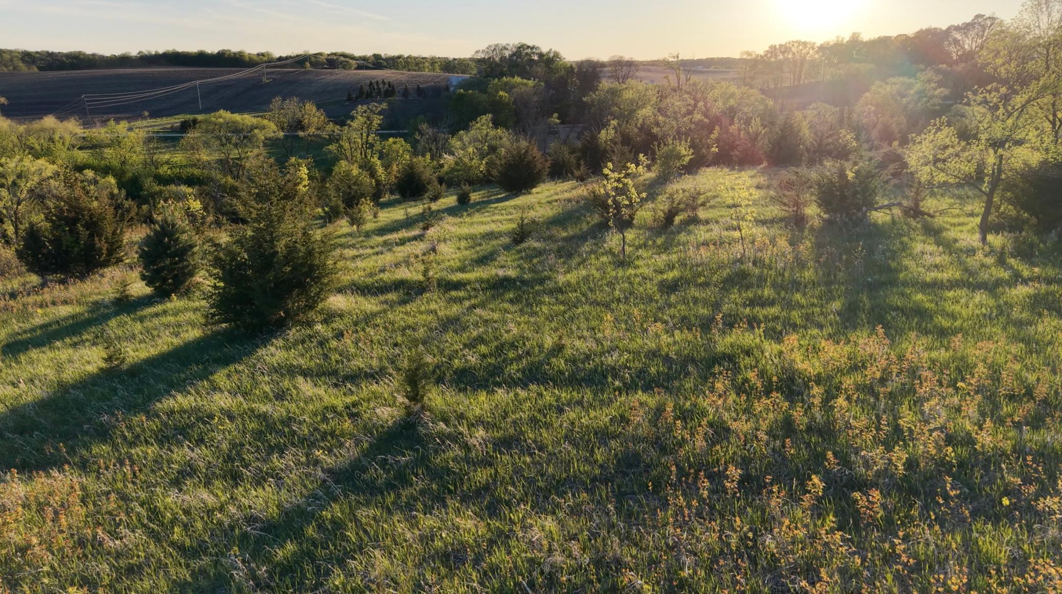 View of Land at 21423 Vergus Avenue, Prior Lake MN 55372, Prior Lake (5 of 7) - Mike Wilen | Minnesota Team Real Estate