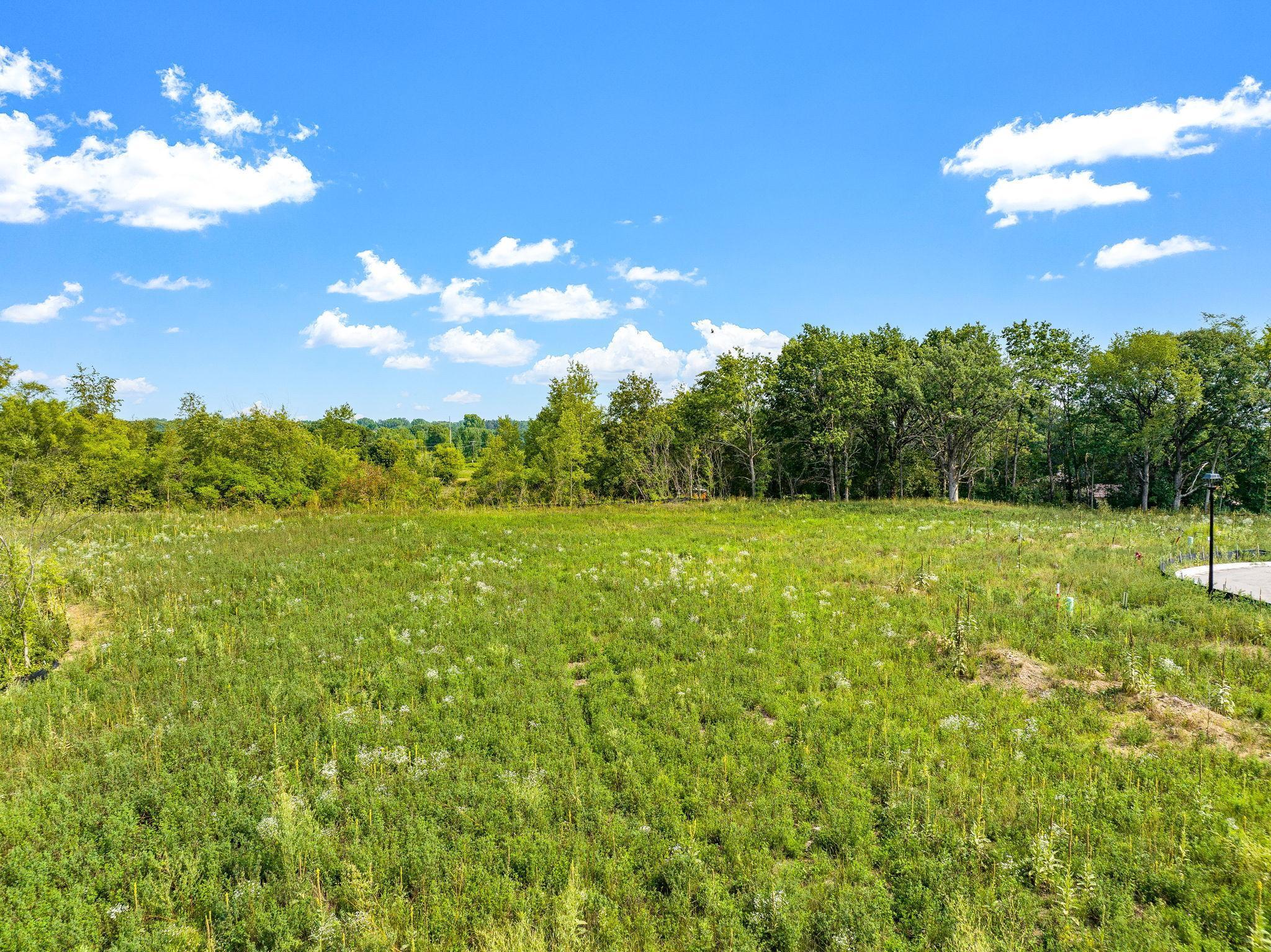 View of Land at 2373 136th Court, Rosemount MN 55068, Rosemount (3 of 4) - Mike Wilen | Minnesota Team Real Estate
