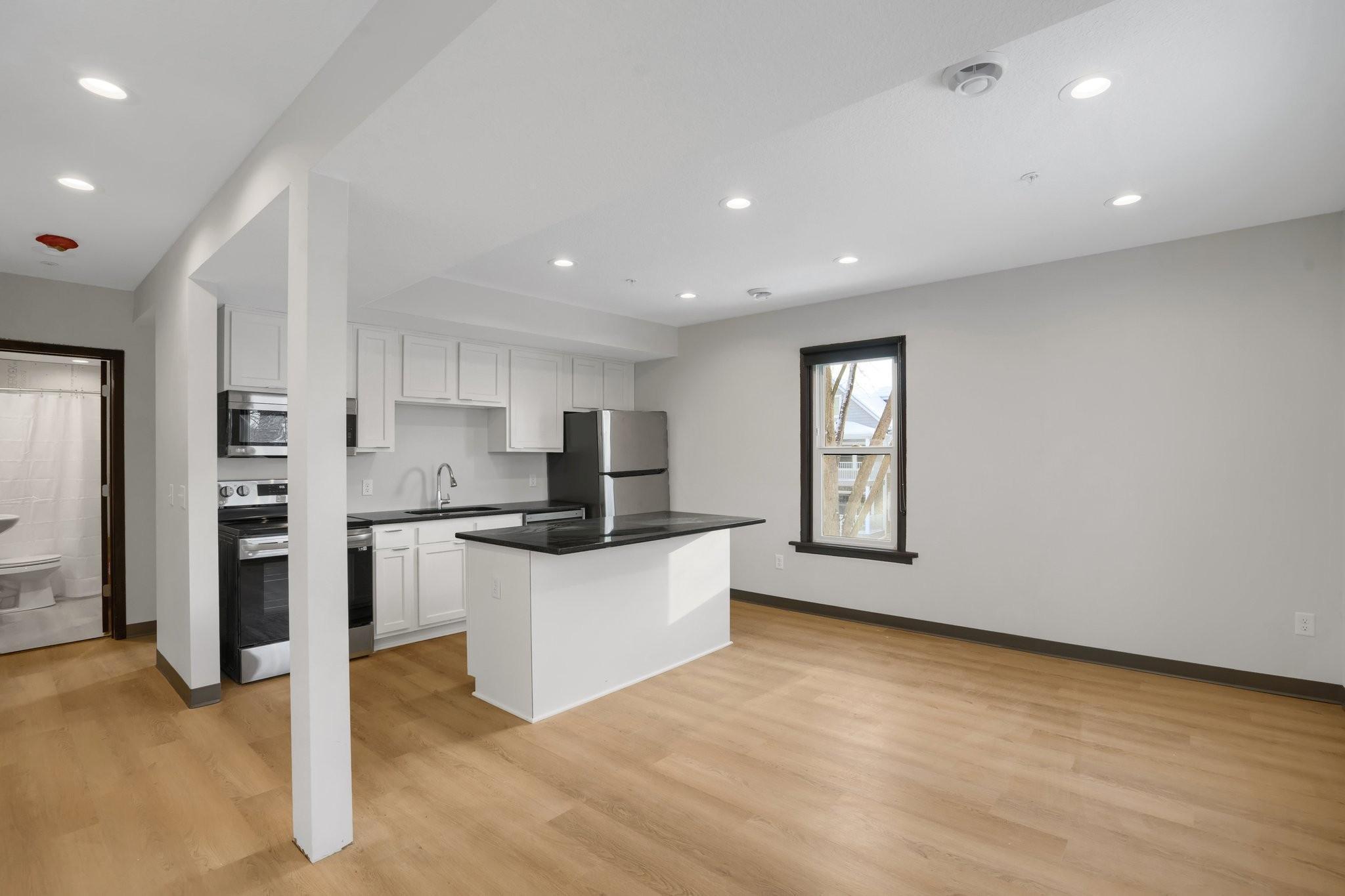 View of Residential Income at 1129 8th Street, Minneapolis MN 55414, Minneapolis (10 of 23) - Mike Wilen | Minnesota Team Real Estate