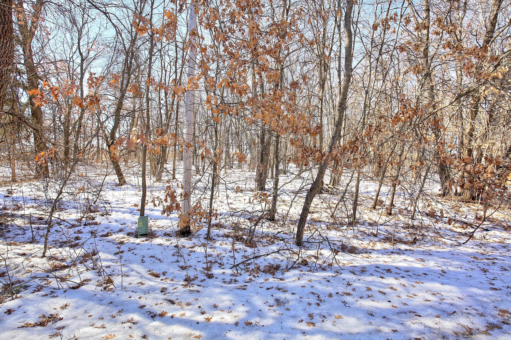 View of Land at 19062 Heather St NW, Oak Grove MN 55011, Oak Grove (7 of 7) - Mike Wilen | Minnesota Team Real Estate