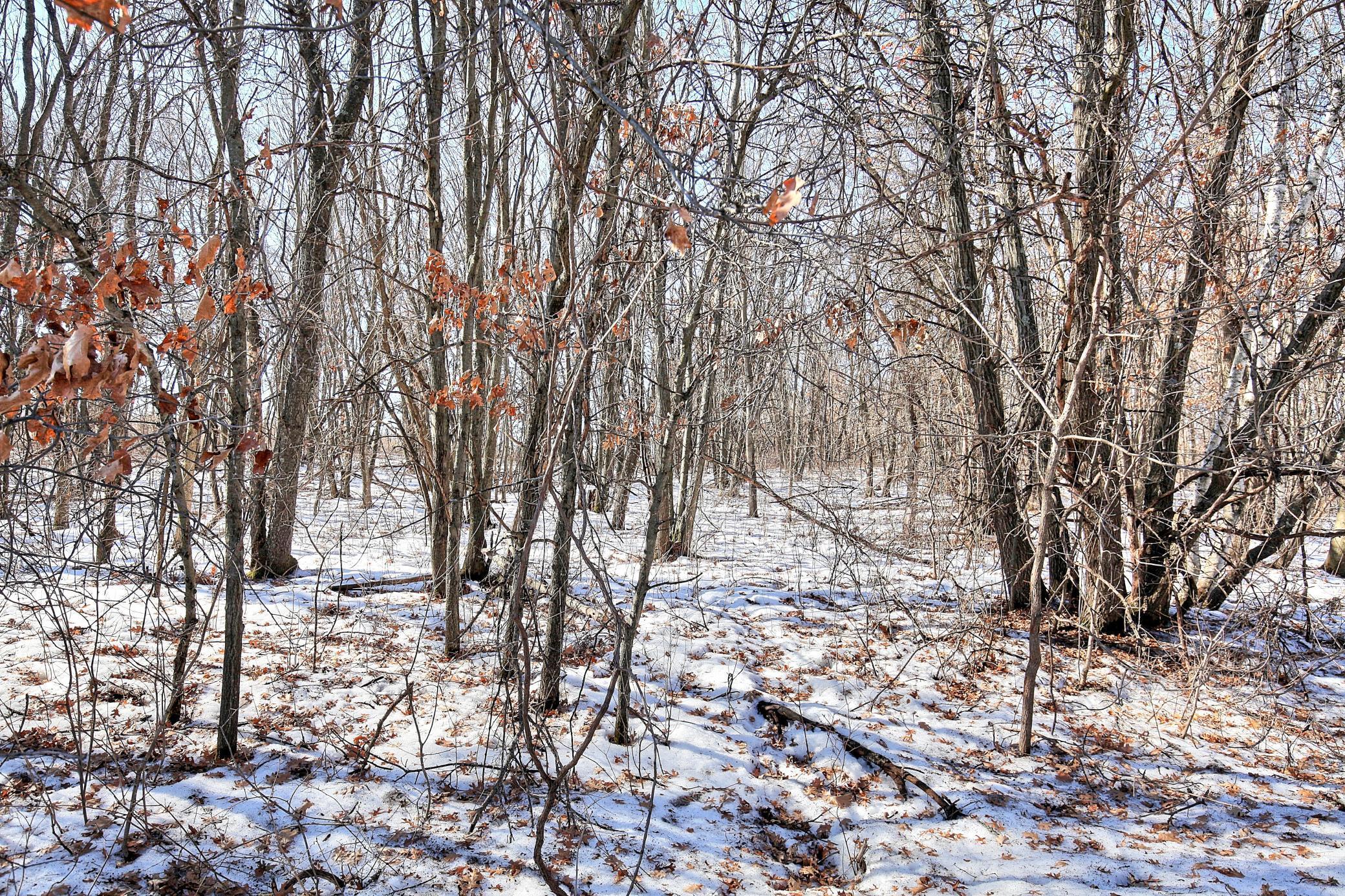 View of Land at 19062 Heather St NW, Oak Grove MN 55011, Oak Grove (6 of 7) - Mike Wilen | Minnesota Team Real Estate