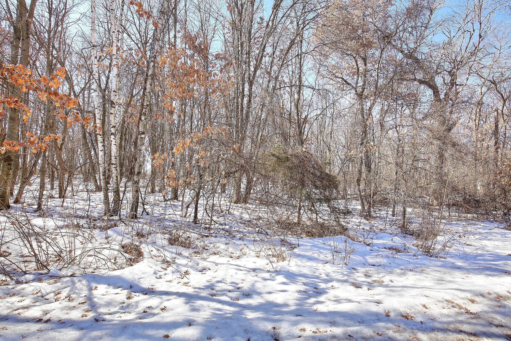 View of Land at 19062 Heather St NW, Oak Grove MN 55011, Oak Grove (5 of 7) - Mike Wilen | Minnesota Team Real Estate