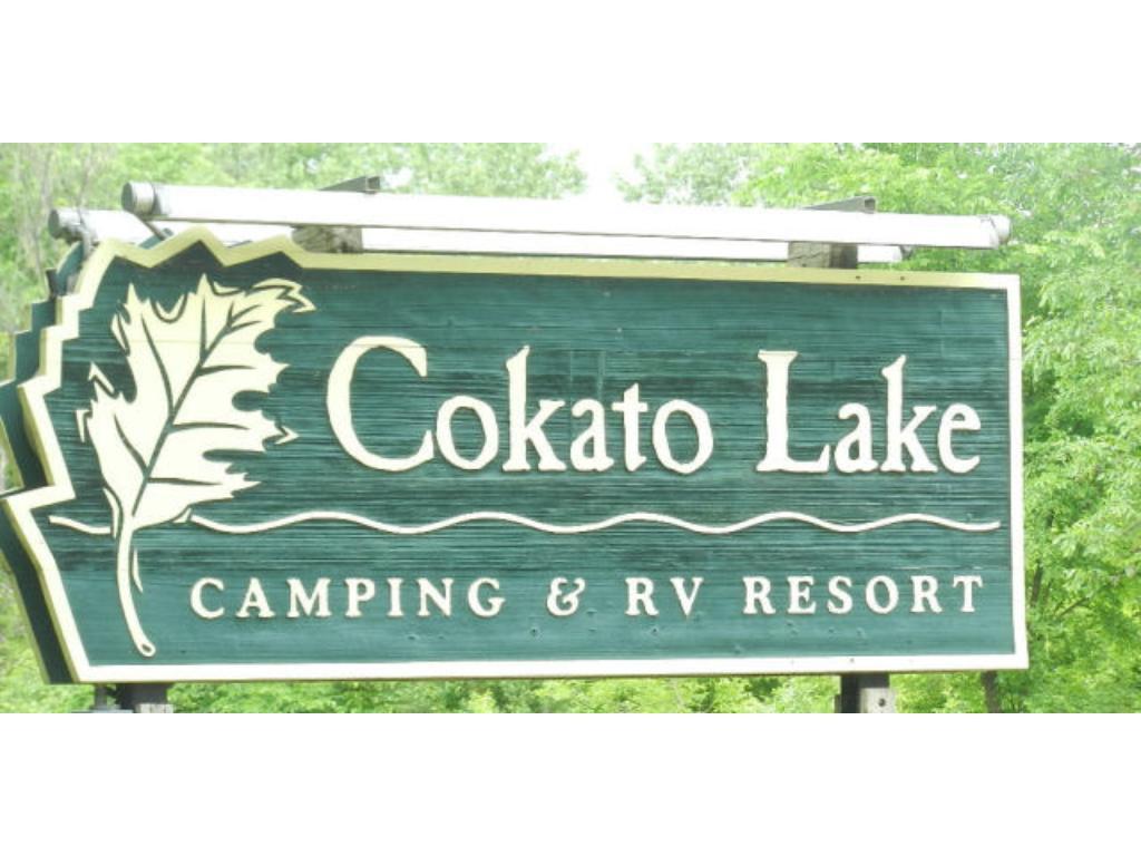 View of Land at 2945 County Road 4 #433, Cokato MN 55321, Cokato (5 of 26) - Mike Wilen | Minnesota Team Real Estate
