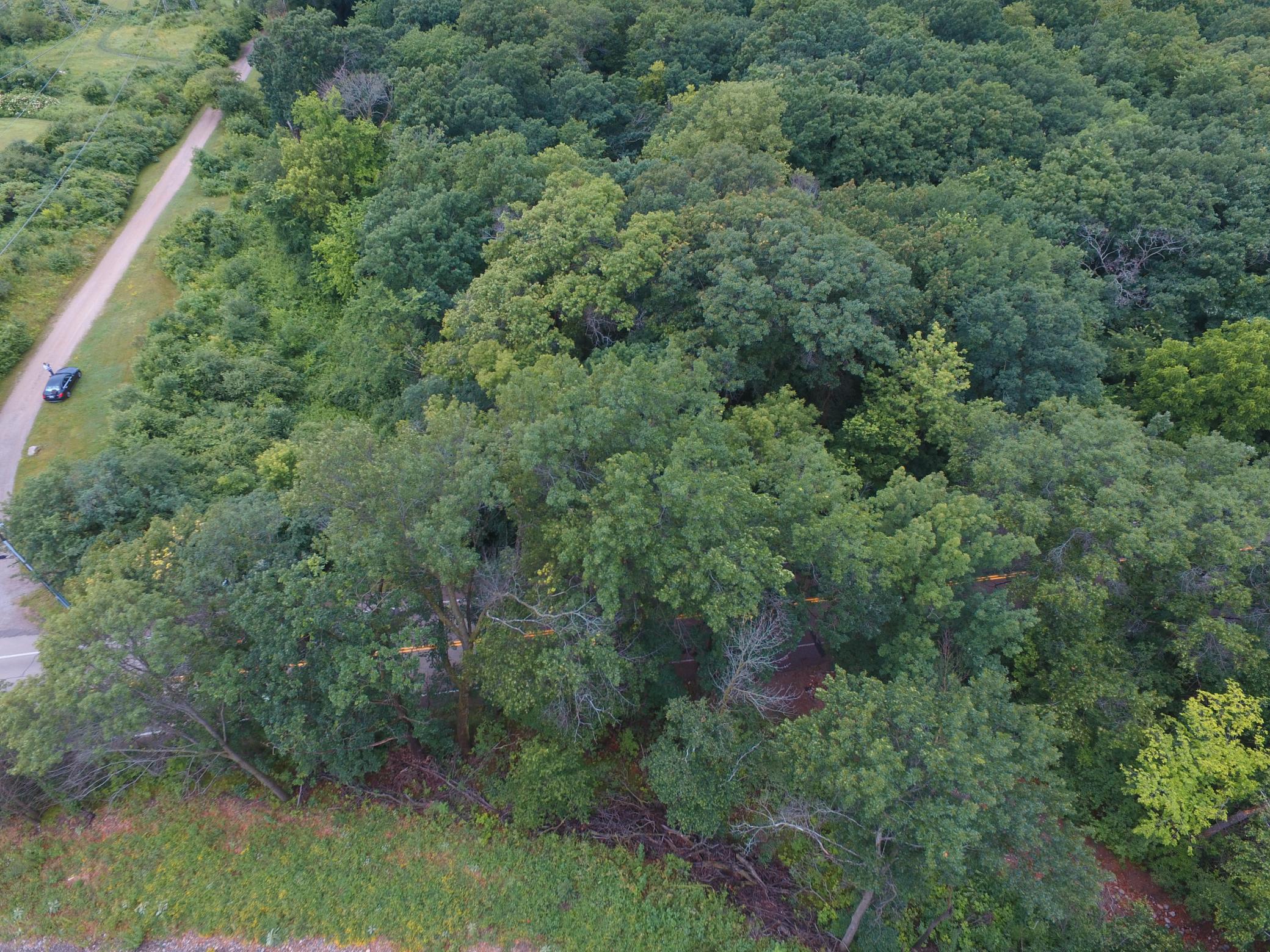 View of Land at TBD Sterling Street, Maplewood MN 55119, Maplewood (5 of 5) - Mike Wilen | Minnesota Team Real Estate