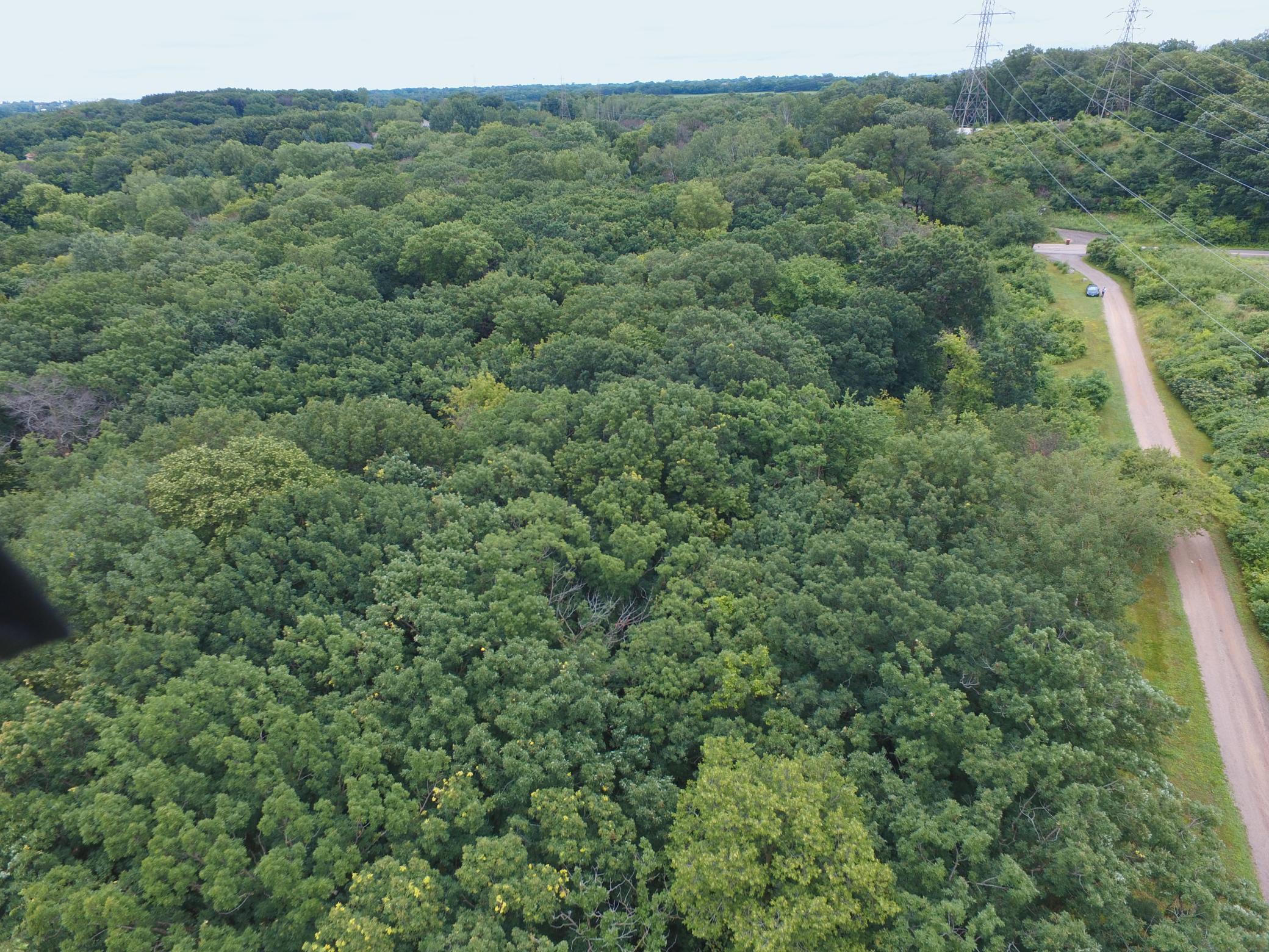 View of Land at TBD Sterling Street, Maplewood MN 55119, Maplewood (2 of 5) - Mike Wilen | Minnesota Team Real Estate