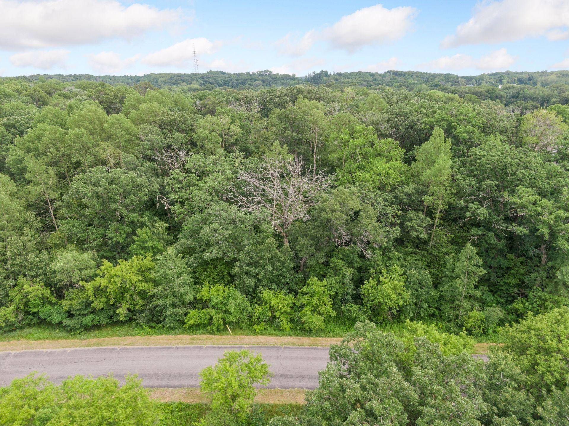 View of Land at TBD 114th Avenue, Zimmerman MN 55398, Zimmerman - Mike Wilen | Minnesota Team Real Estate